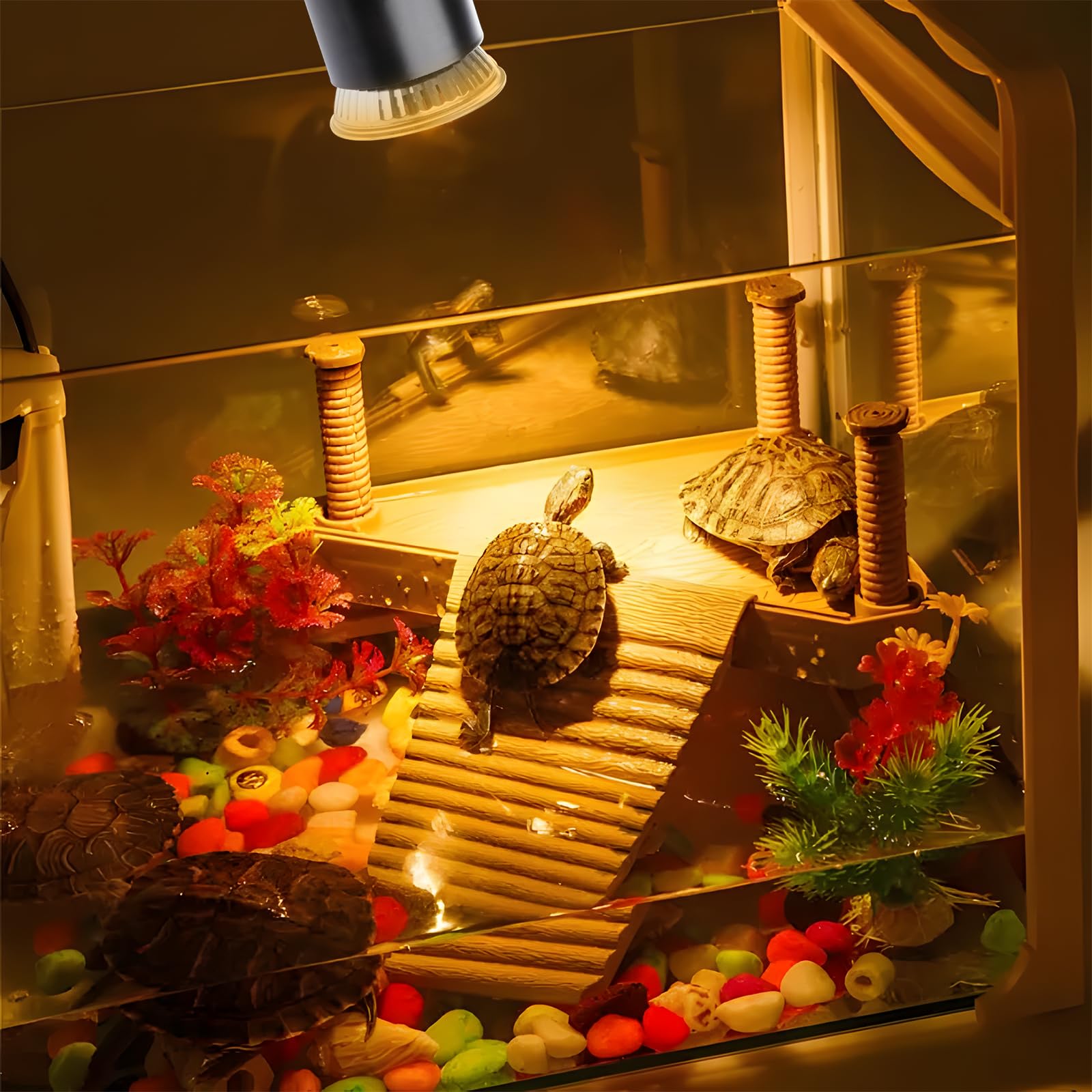 Repti Home Turtle Basking Light (Cycle Timer), Tortoise Lamp Uva Uvb Heat Bulbs -2 Pack 50W, 360Rotatable Turtle Uva/Uvb Basking