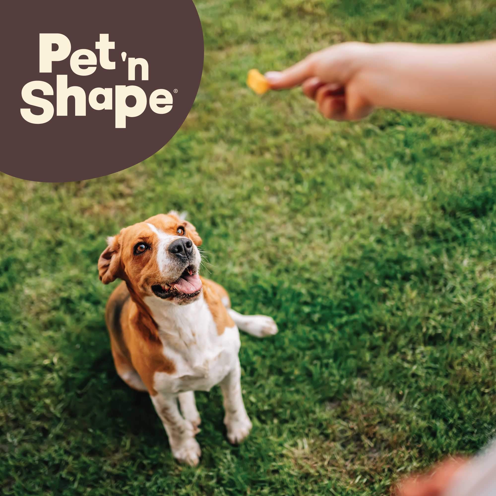Pet n Shape Duck Breast Jerky Dog Treats - 16 Ounce