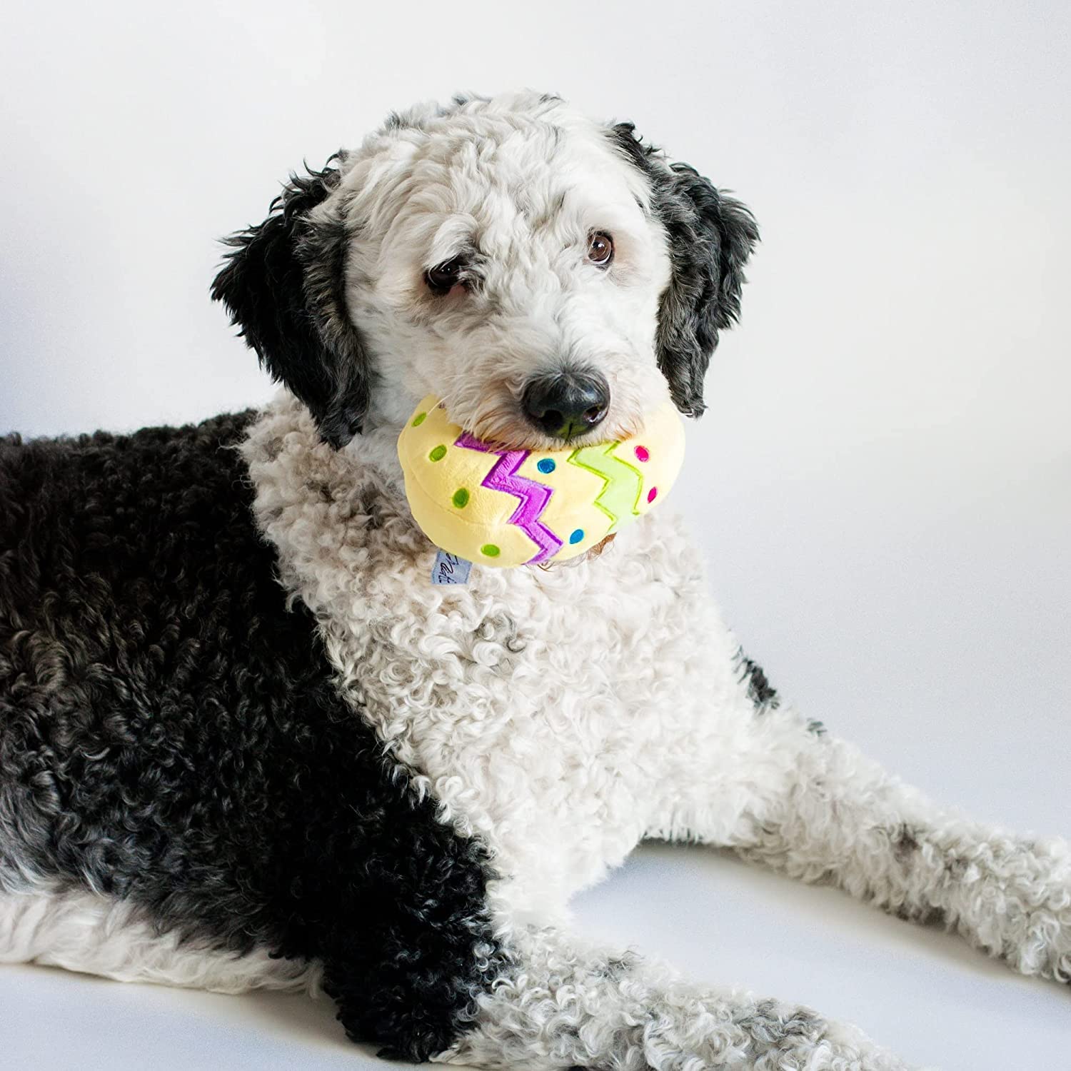Midlee Plush Easter Egg Dog Toy With Squeaker (Yellow)-Large