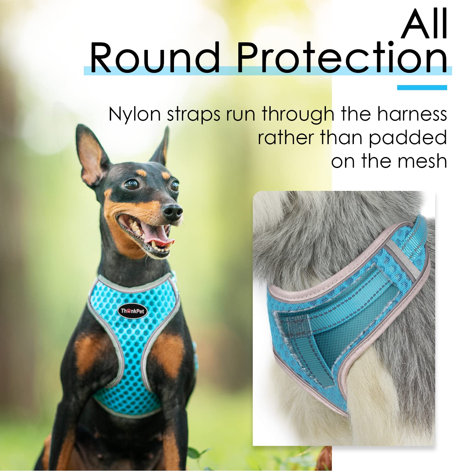 Thinkpet Reflective Breathable Soft Air Mesh No Pull Puppy Choke Free Over Head Vest Harness For Puppy Small Medium Dogs And Cats Light Blue Large