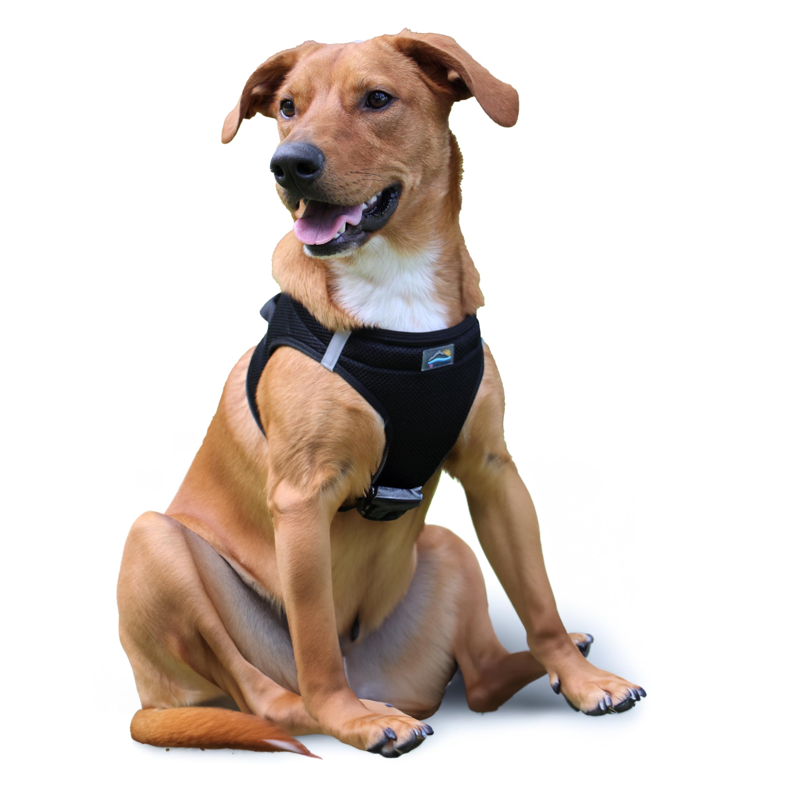 Doggie Design Dog Harness - No Choke Dog Harness, Dog Vest, Mesh Polyester, Pet Harness, Simple Step In And Go Design, Harness F