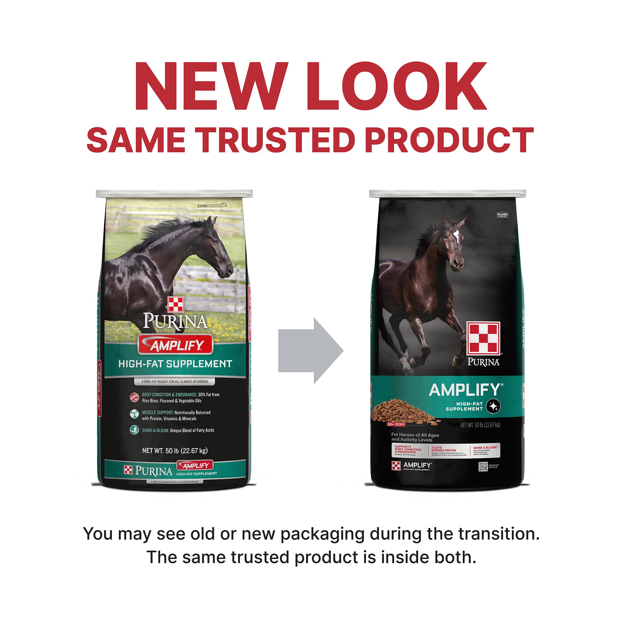 Purina, Amplify Equine, High-Fat Horse Supplement for Maintenance, Breeding, & Performance Horses, 50 lbs
