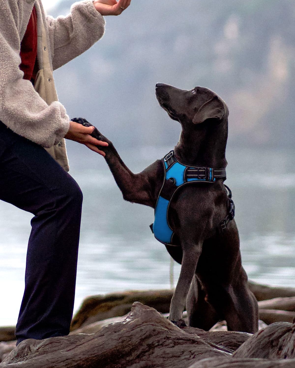 Joytale No Pull Dog Harness For Extra Large Dogs, Reflective Pet Vest With Front Clip, Adjustable Soft Padded Harnesses With Eas