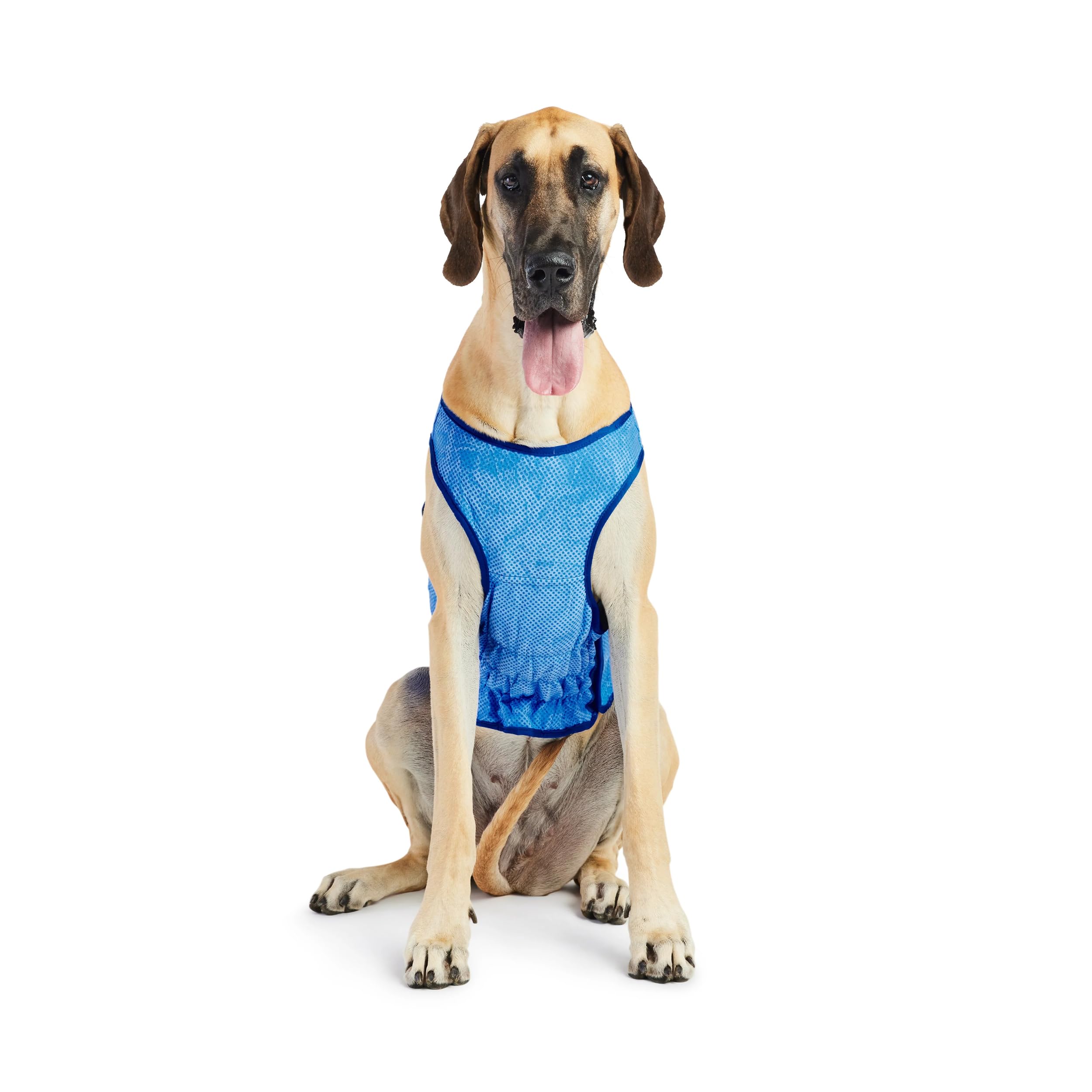 Gc331-1 Elastofit Cooling Ice Vest Xs