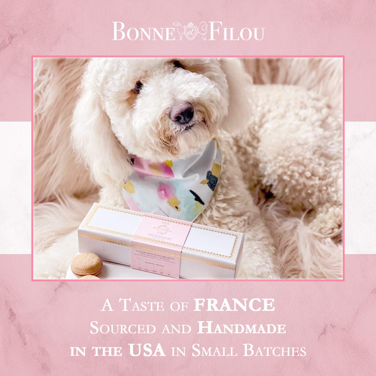 Bonne et Filou Dog Treats Strawberry Cupcakes - Gourmet Macaron Cakes, 40 Count Bulk Pack - Healthy & Delicious Human Grade Snac
