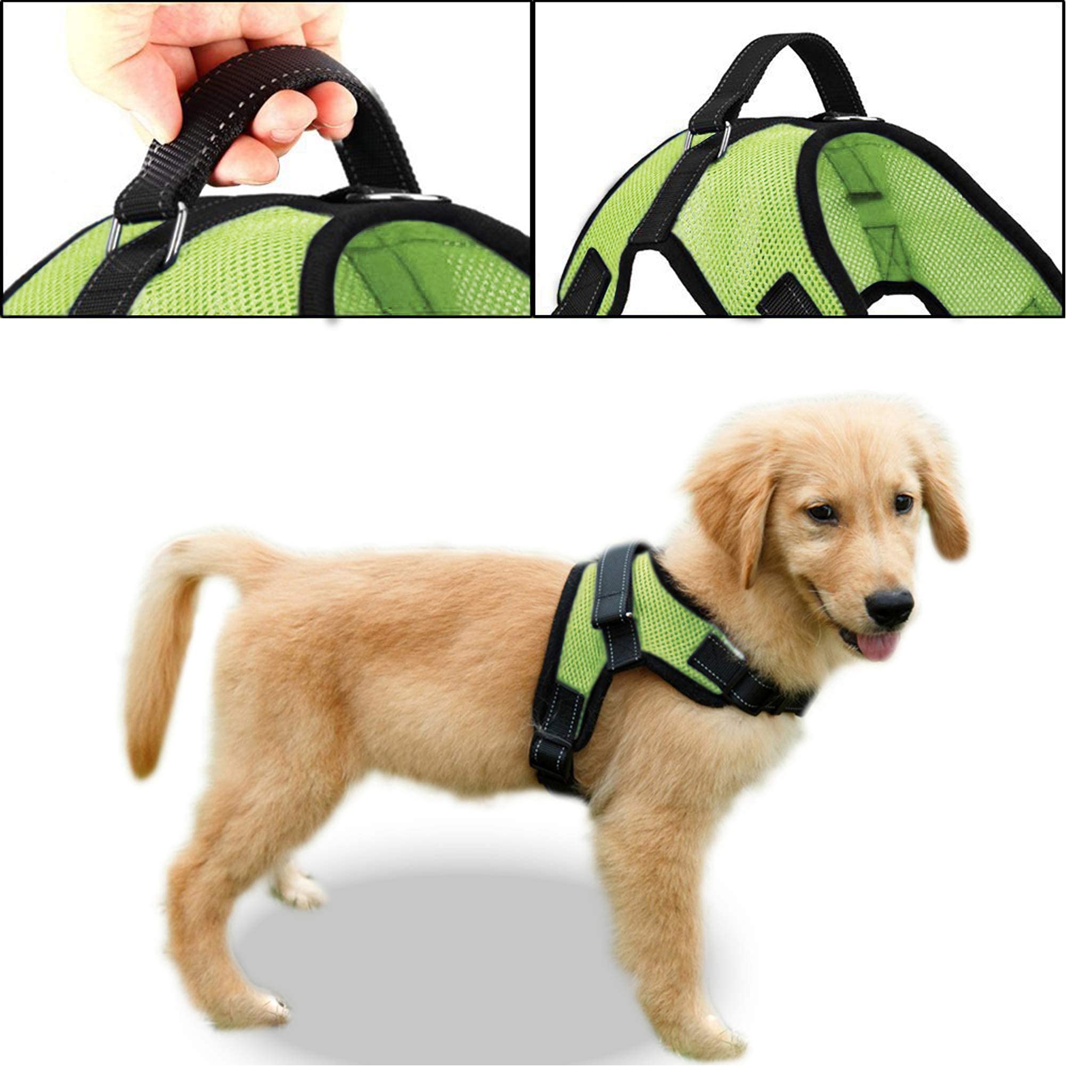 Copatchy No Pull Reflective Adjustable Dog Harness With Handle (X-Small, Green)