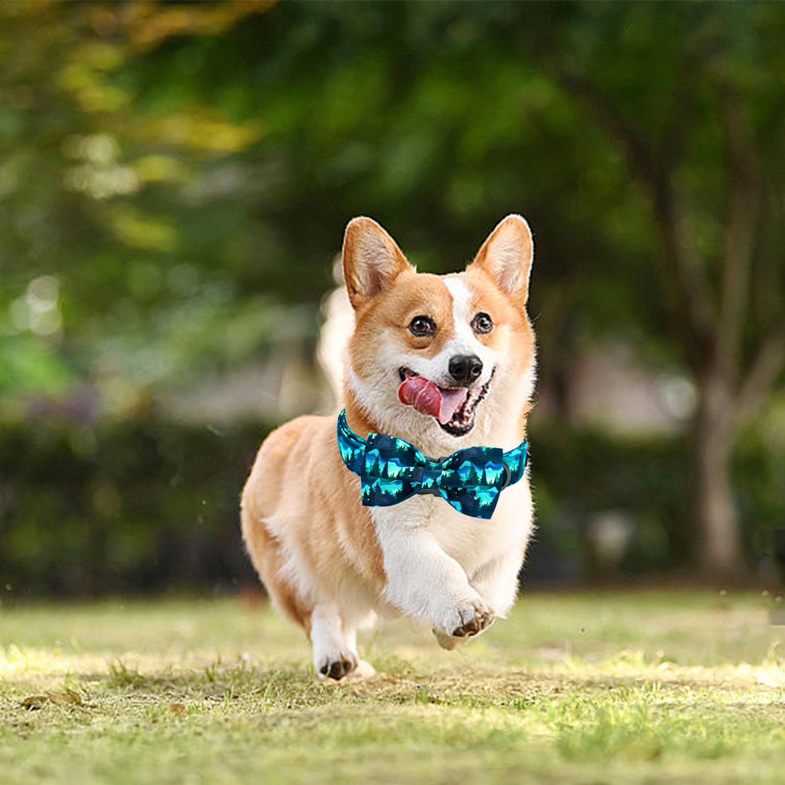 Lionheart Glory Dog Bow Collar Green Spring Summer Cute Collars For Medium Dogs, Soft Duty Adjustable Dog Collar With Bowtie Pet