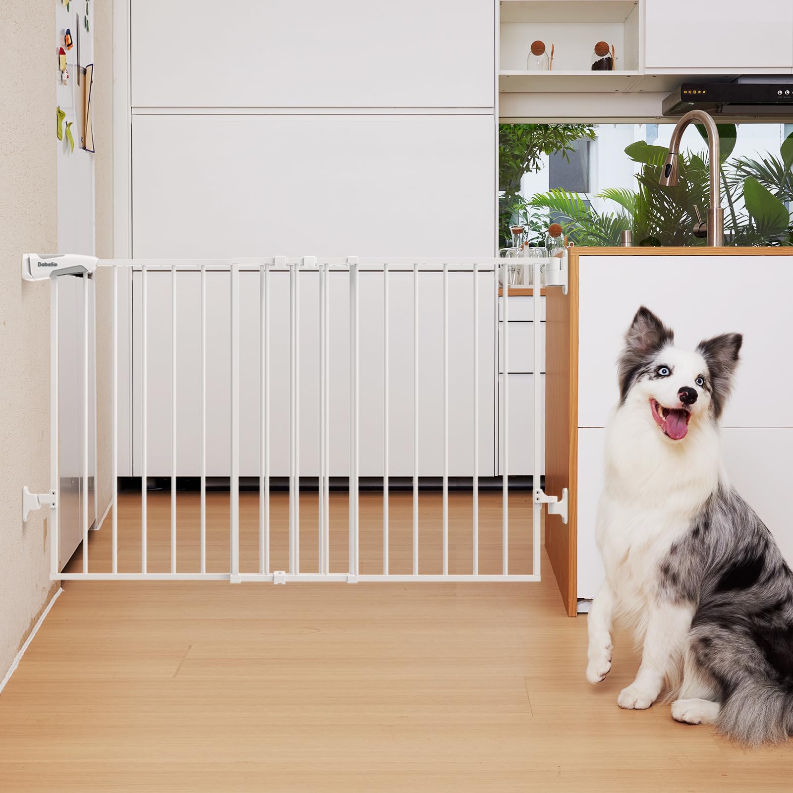 Babelio 31.5-55' No Bottom Bar Baby Gate Extra Wide, 2-In-1 Auto Close Dog Gate For The House, Stairs And Doorways, With Large Walk Thru Door, White