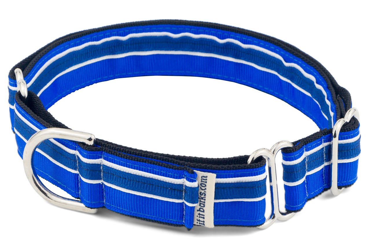 If It Barks 1'' Martingale Collar For Dogs, Adjustable Nylon, Usa Made, Medium, Blueberry