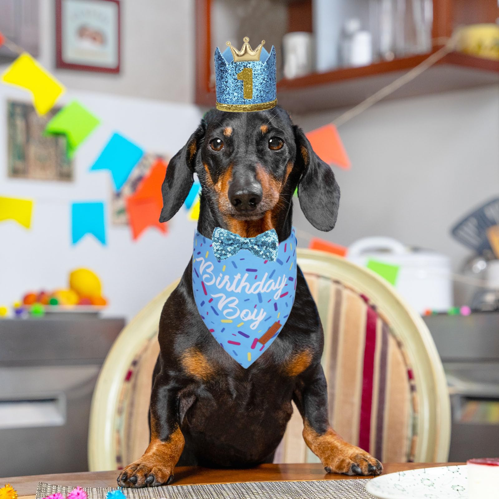 Ptdecor Dog Birthday Party Supplies, Multi Size Birthday Boy Bandana, Blue Crowns Dog Hat Set For Small Pets (Small)