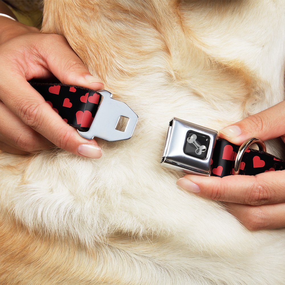 Buckle-Down Dc-W33419-Wl Seatbelt Dog Collar, Wide Large, Hearts Scattered Black/Red