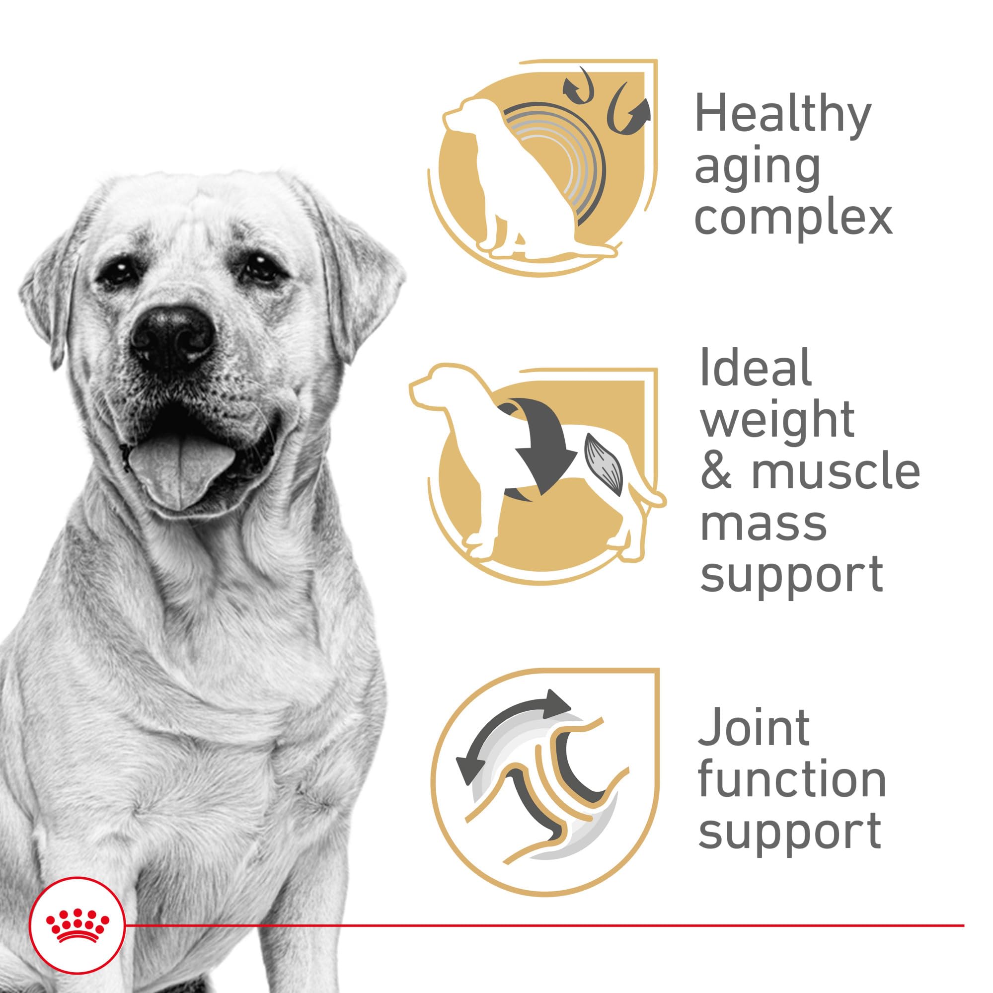 Royal Canin Breed Health Nutrition Labrador Retriever 5+ Mature Dry Dog Food, 28 lb Bag