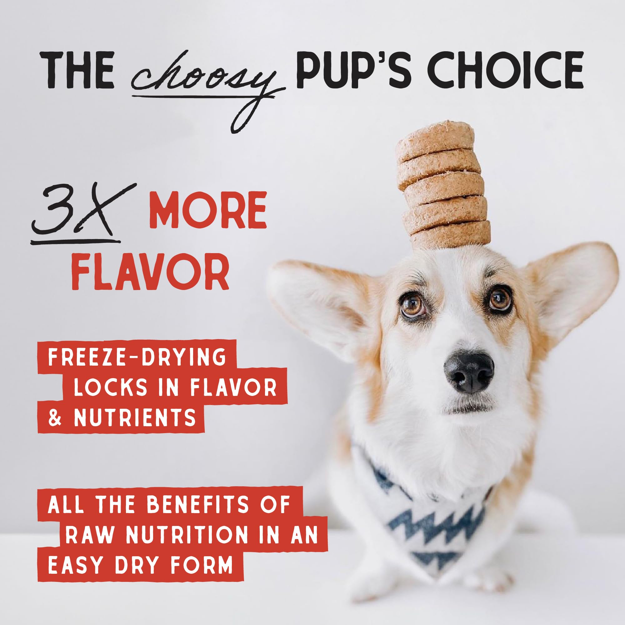 Stella & Chewy's Freeze Dried Raw Dog Food, Dandy Lamb Recipe, 14 oz, Grain Free