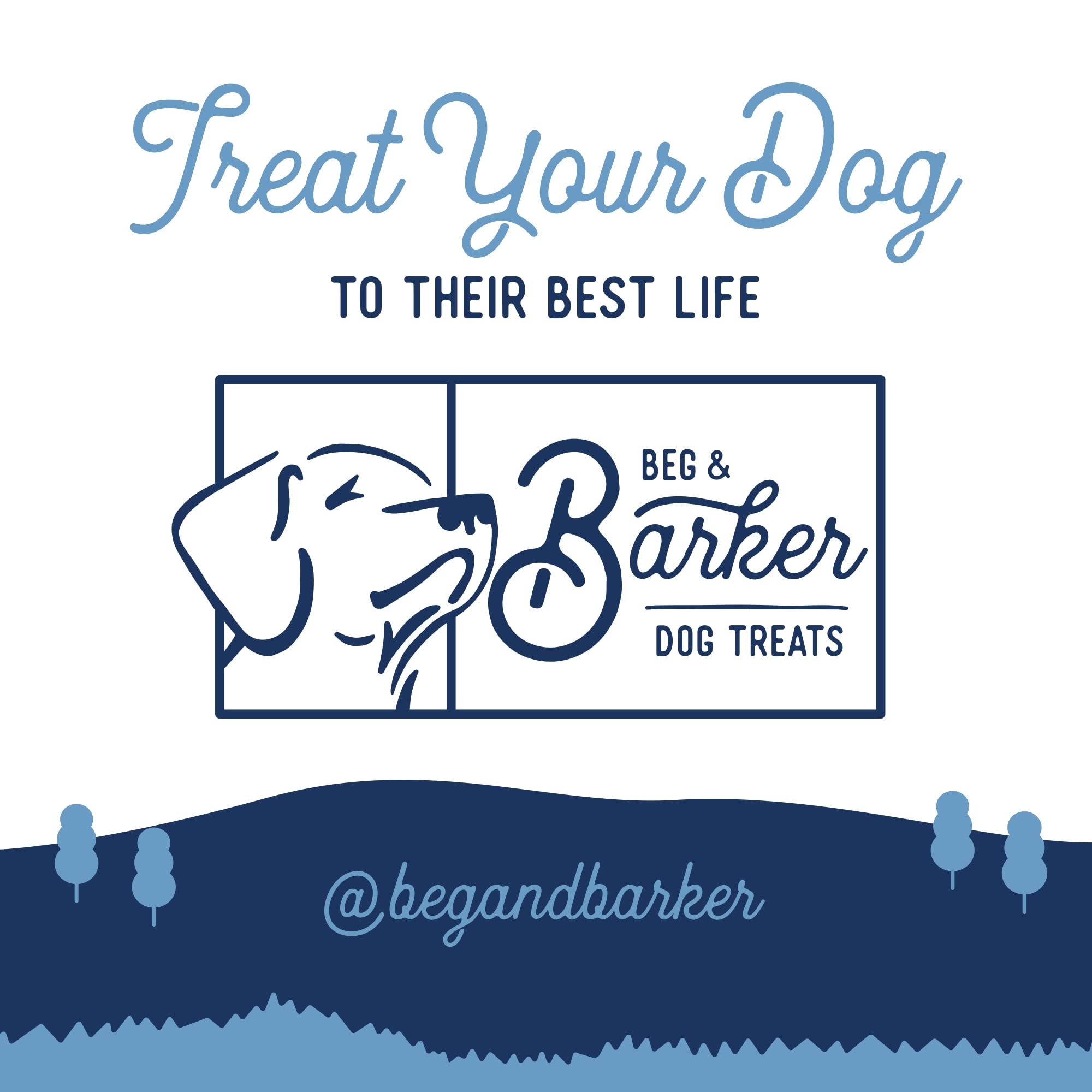 Beg & Barker Turkey Jerky Strips for Dogs (10 Ounce, Pack of 1) - Dog Training Treats - Natural Dog Treats Made in The USA - Gra