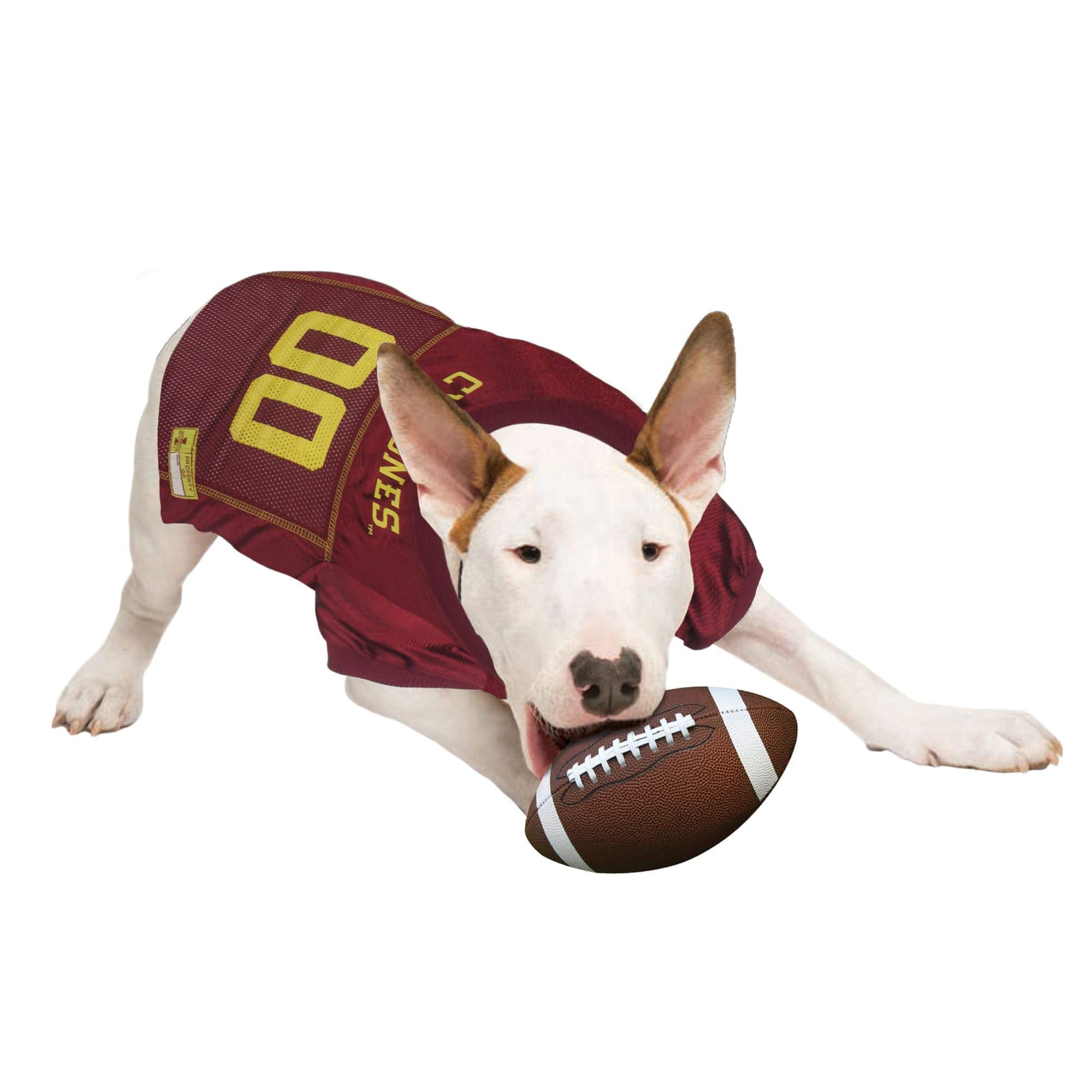Pets First NCAA College Iowa State Cyclones Mesh Jersey for Dogs & Cats, XX-Large. Licensed Dog Jersey with Your Favorite Footba