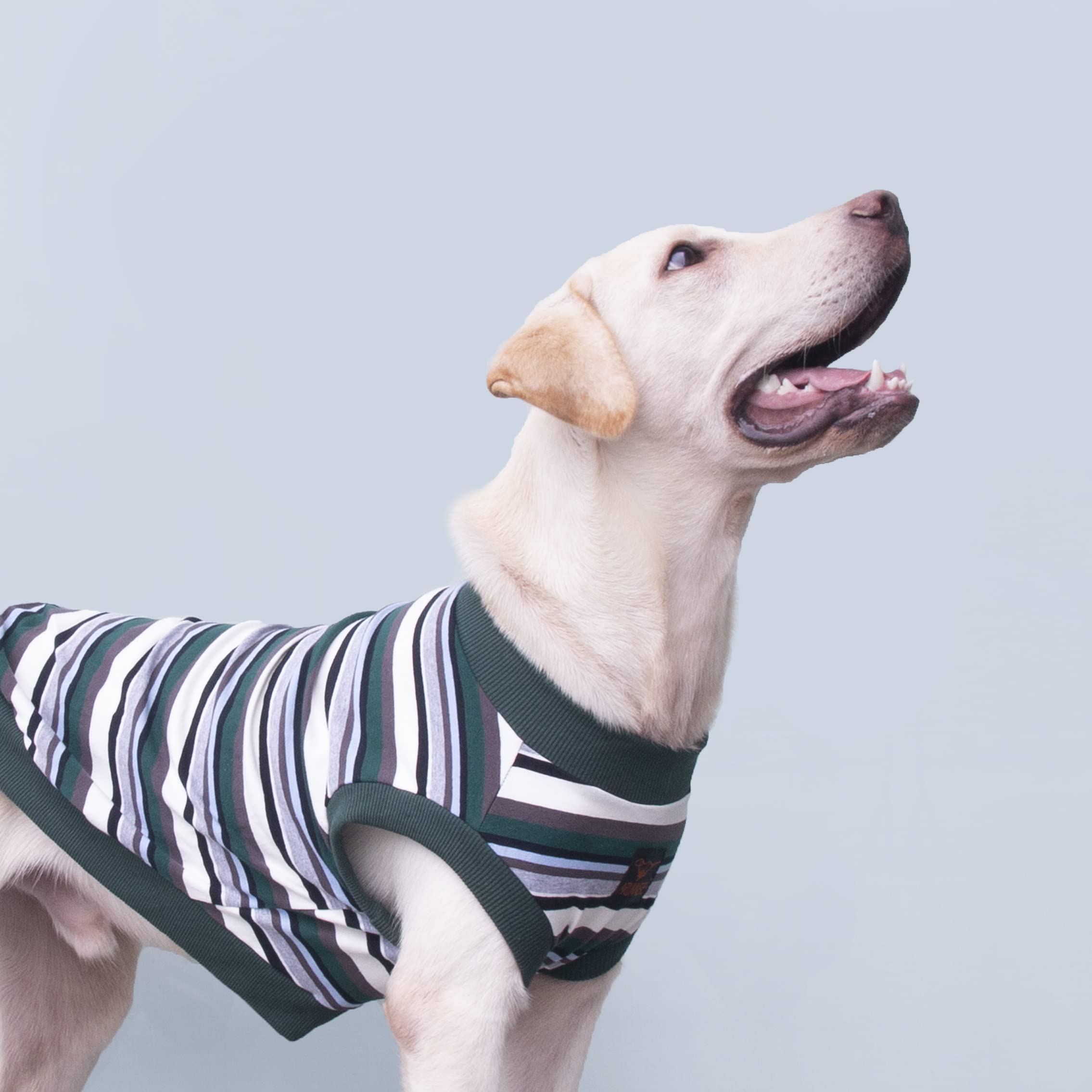 Arunners Extra Large Dog T Shirts Clothes Sleeveless Tank Top Vest For Labrador Rottweiler Great Dane, Green, 6X-Large