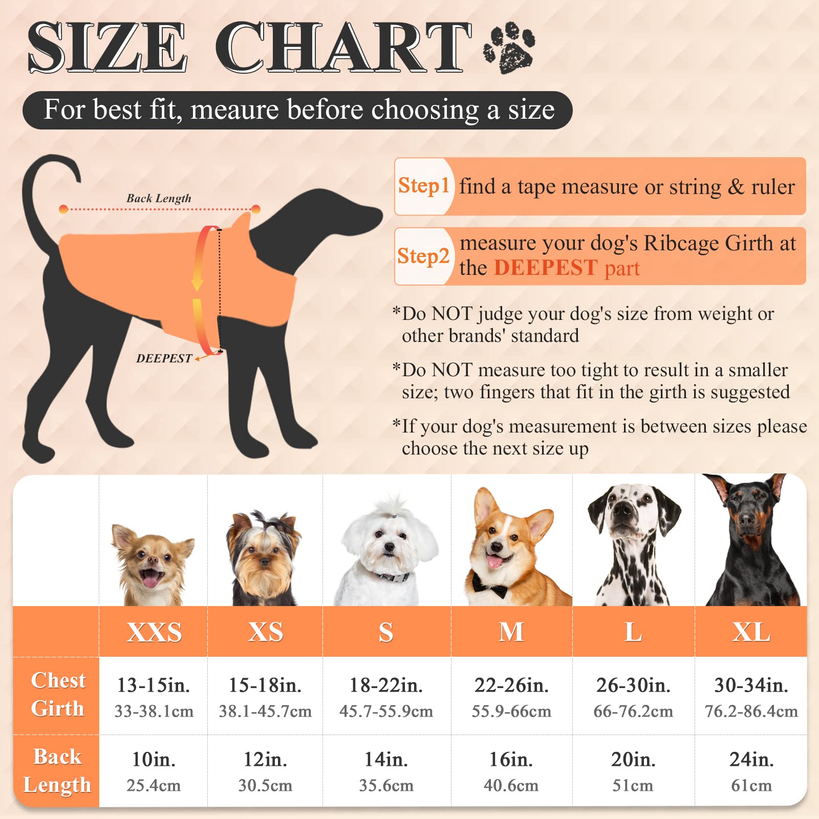 Vivaglory Dog Raincoat for Medium Dogs, Orange, Lightweight, Reflective, Easy On & Off, M (22"-26" Chest Girth)