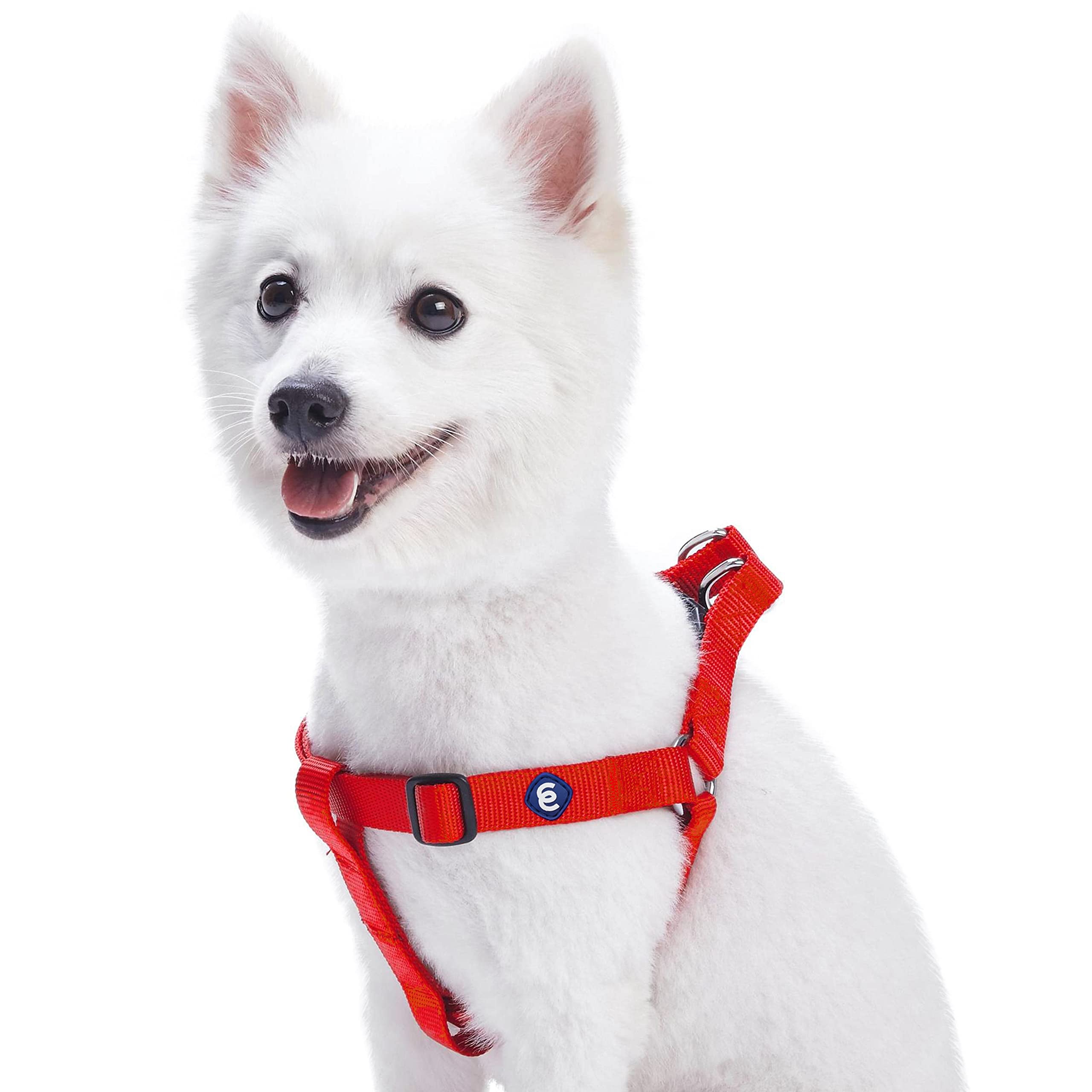 Blueberry Pet Essentials Classic Durable Solid Nylon Step-In Dog Harness, Chest Girth 26' - 39', Rouge Red, Large, Adjustable Harnesses For Puppy Boy Girl Dogs