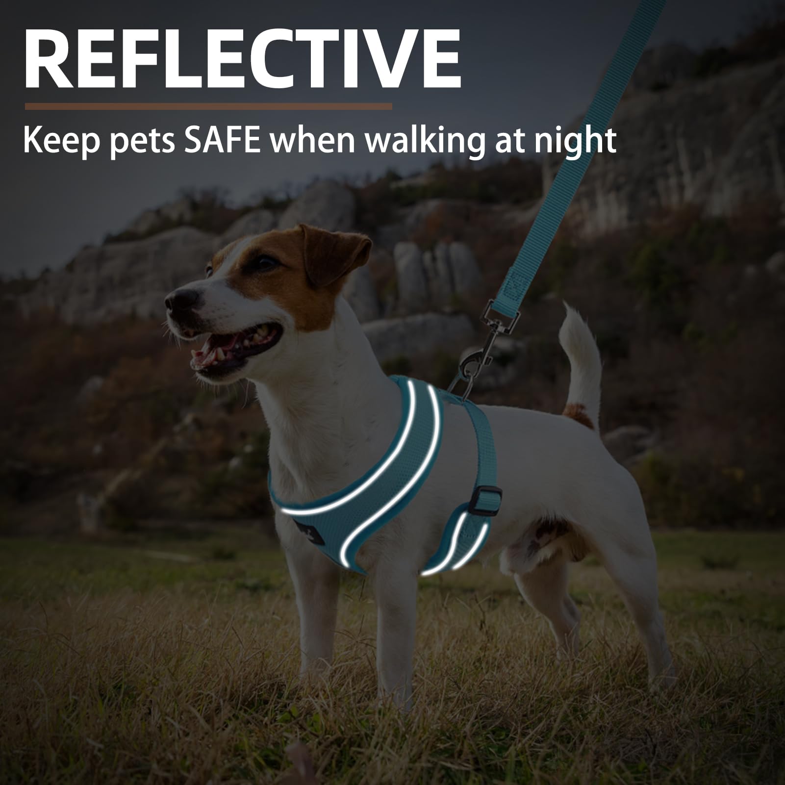 Pupteck Soft Mesh Dog Harness And Leash Set Pet Puppy Cat Comfort Padded Vest No Pull Harnesses, Solid Lightblue, M