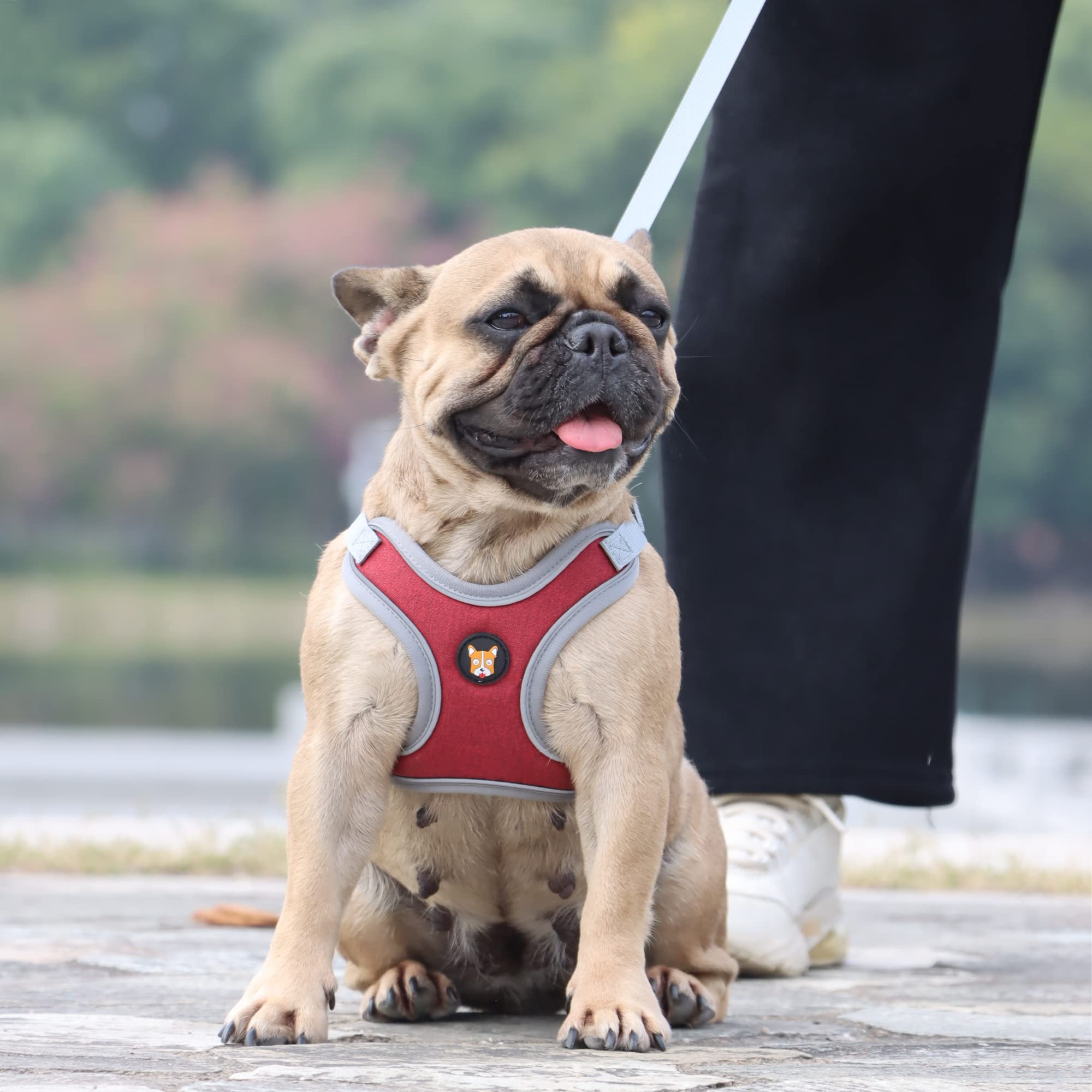 Huggiegems Adjustable Dog Harness Vest And Leash Set For Small, Medium Dogs No Pull, Step In Escape Proof Reflective Easy Walk Puppy Harness, Red, Xs (Comes With A Measuring Tape)