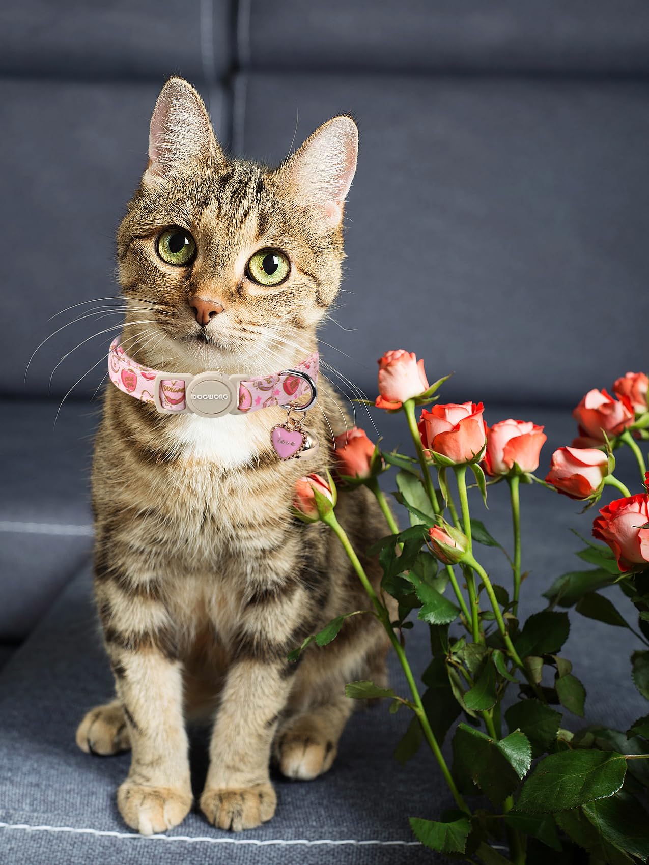 Cat Collar,2 Pack Cat Collars Breakaway With Bell, Dogwong Safety Buckle Valentine'S Day Cat Collar Pink Red Heart For Girl Boy
