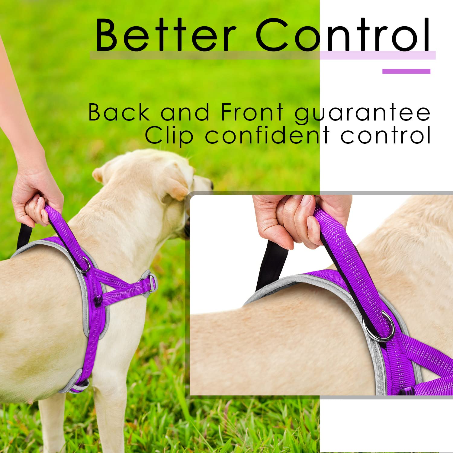 Adventuremore Dog Harness For Medium Dogs No Pull, Sport Dog Halter Harness Adjustable Reflective Dog Vest Escape Proof Dog Harness With Easy Control Front Clip Handle For Training Walking M Purple