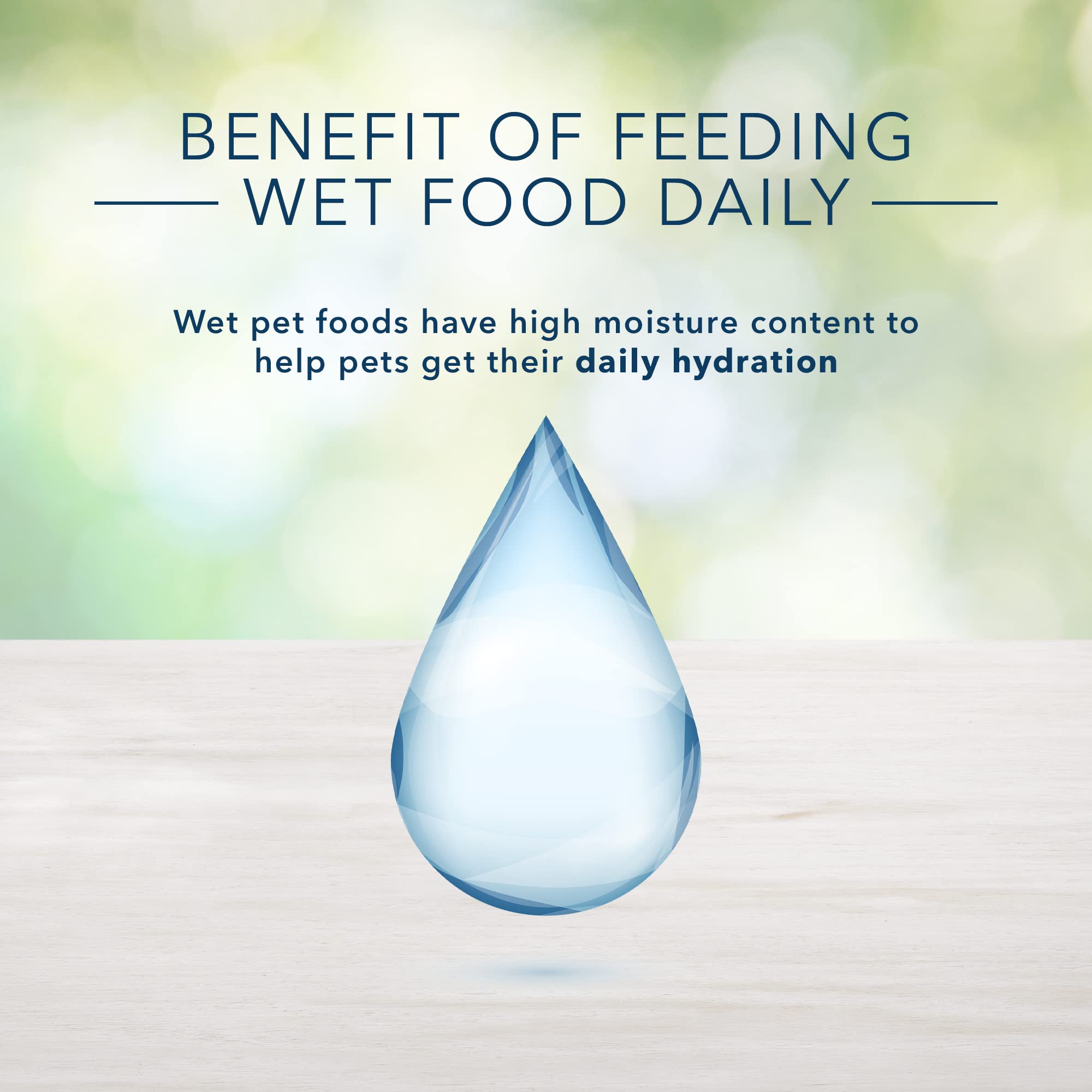 Blue Buffalo Freedom Grain-Free Wet Cat Food, Complete & Balanced Nutrition for Mature Indoor Cats, Made with Natural Ingredient