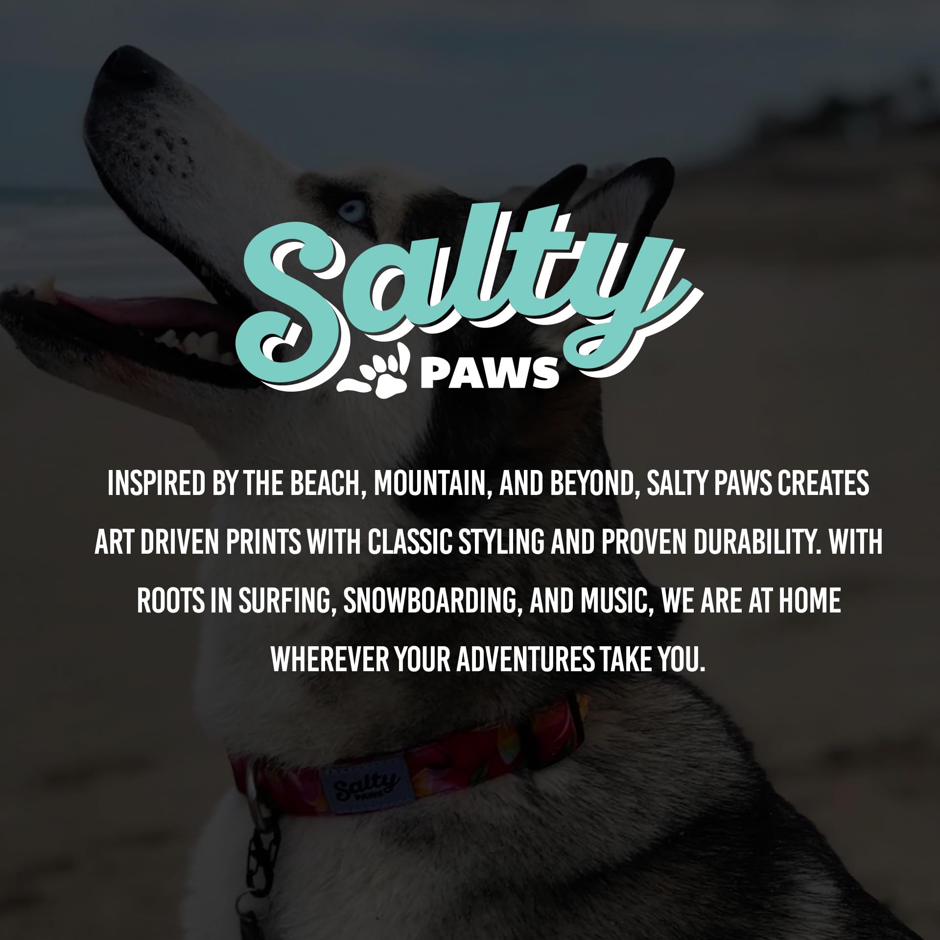 Shaka'S Salty Paws Boy & Girl Dog Collar Small Medium Large (Medium Dog Collar Adj. 14-20' For Dogs 25-50 Lbs, Green Camo)