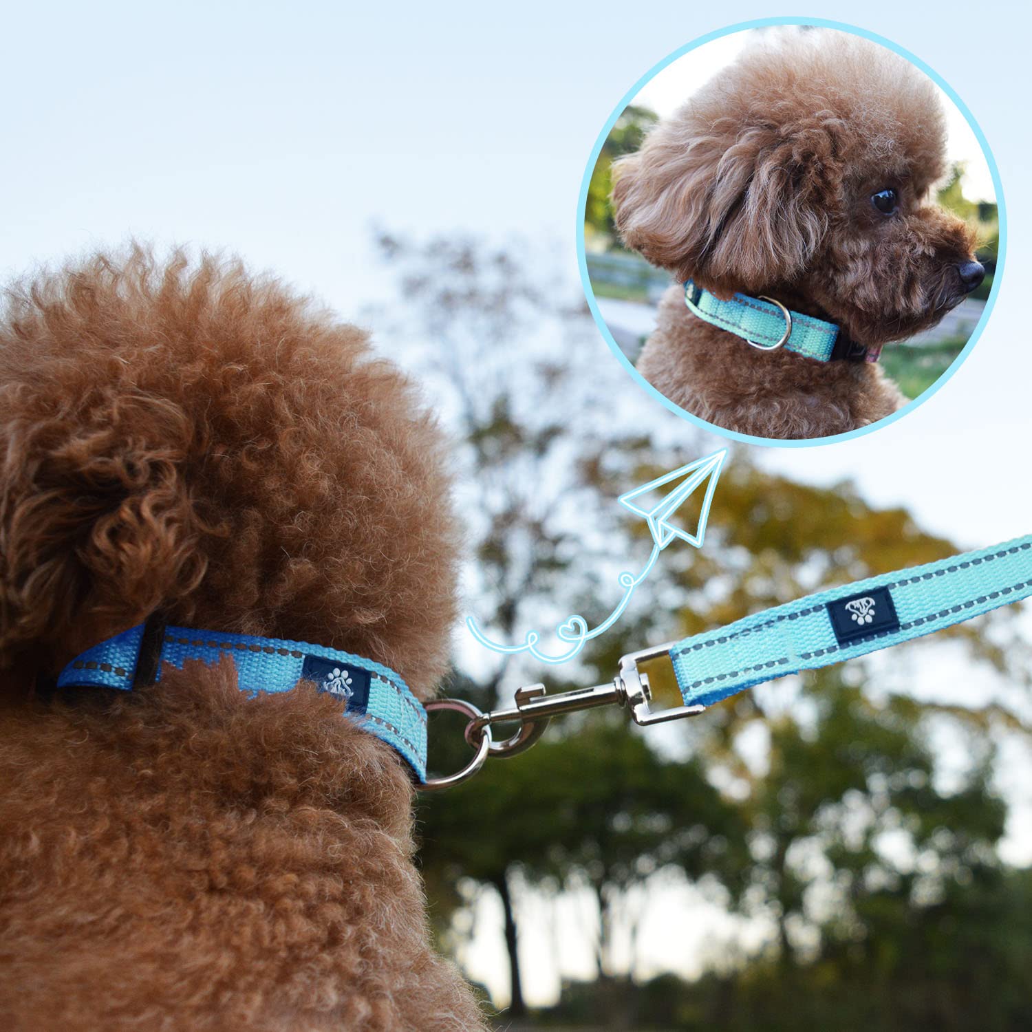 Nestroad Reflective Dog Collar And Leash Set,Soft Neoprene Pet Collar With Quick Release Buckle,Adjustable Nylon Dog Collars For