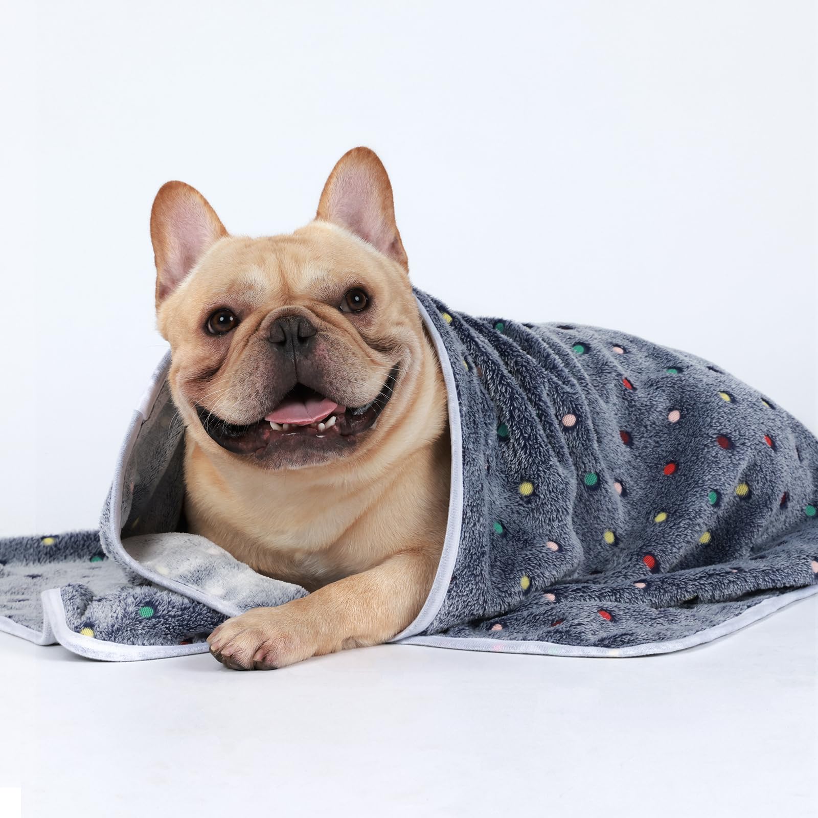 1 Pack 3 Blankets Super Soft Cute Dot Pattern Pet Blanket Flannel Throw For Dog Puppy Cat Blue/Purple/Grey Medium
