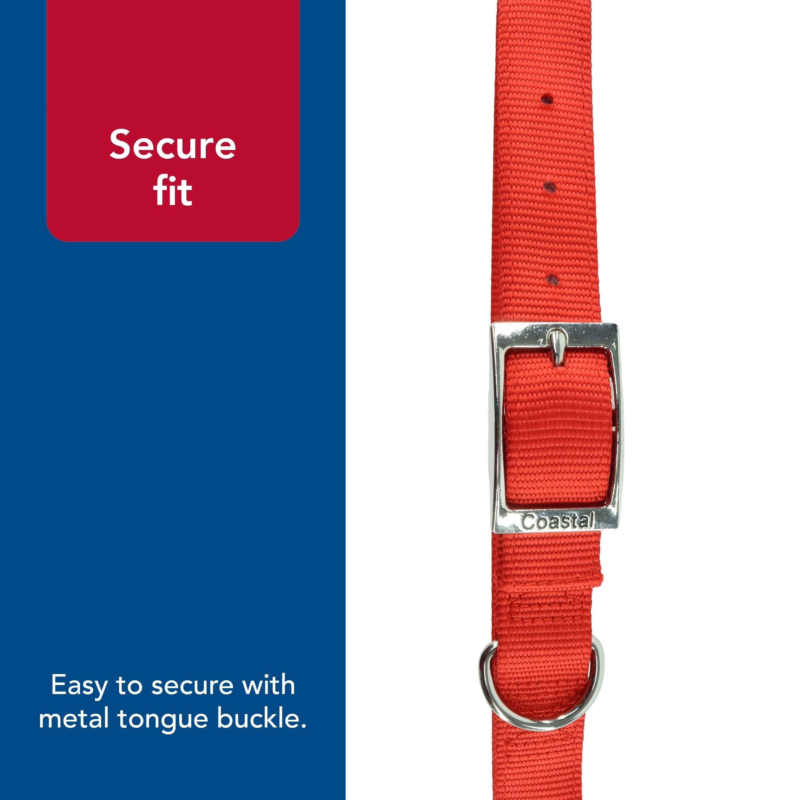 Coastal Pet - Double-Ply Dog Collar, Red, 1'' x 22''
