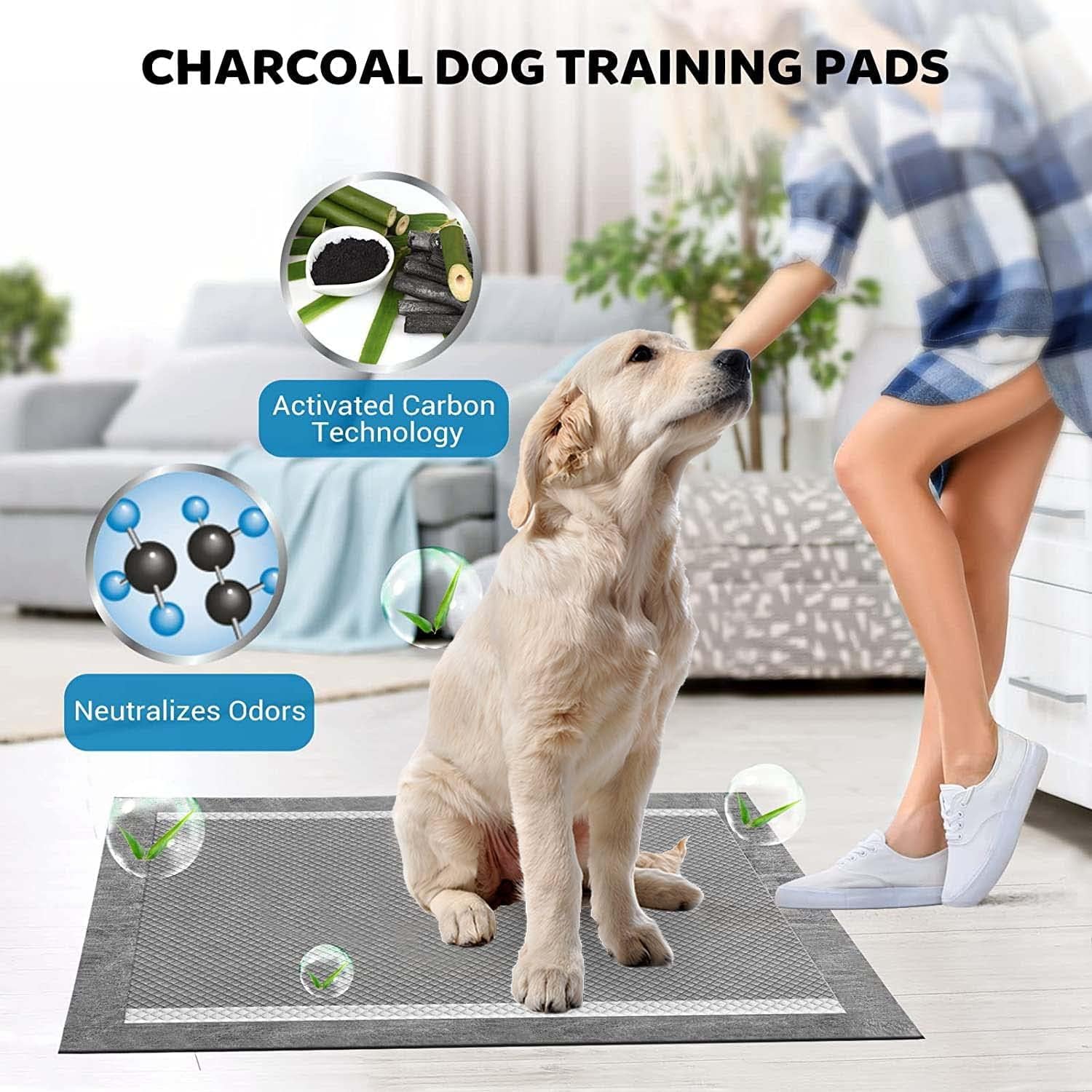 BinetGo Disposable Pee Pads for Dogs, 35 Count 30 x 36 XX-Large Wee Wee Pads for Dogs, Extra Absorbent Puppy Pads, Pet Training