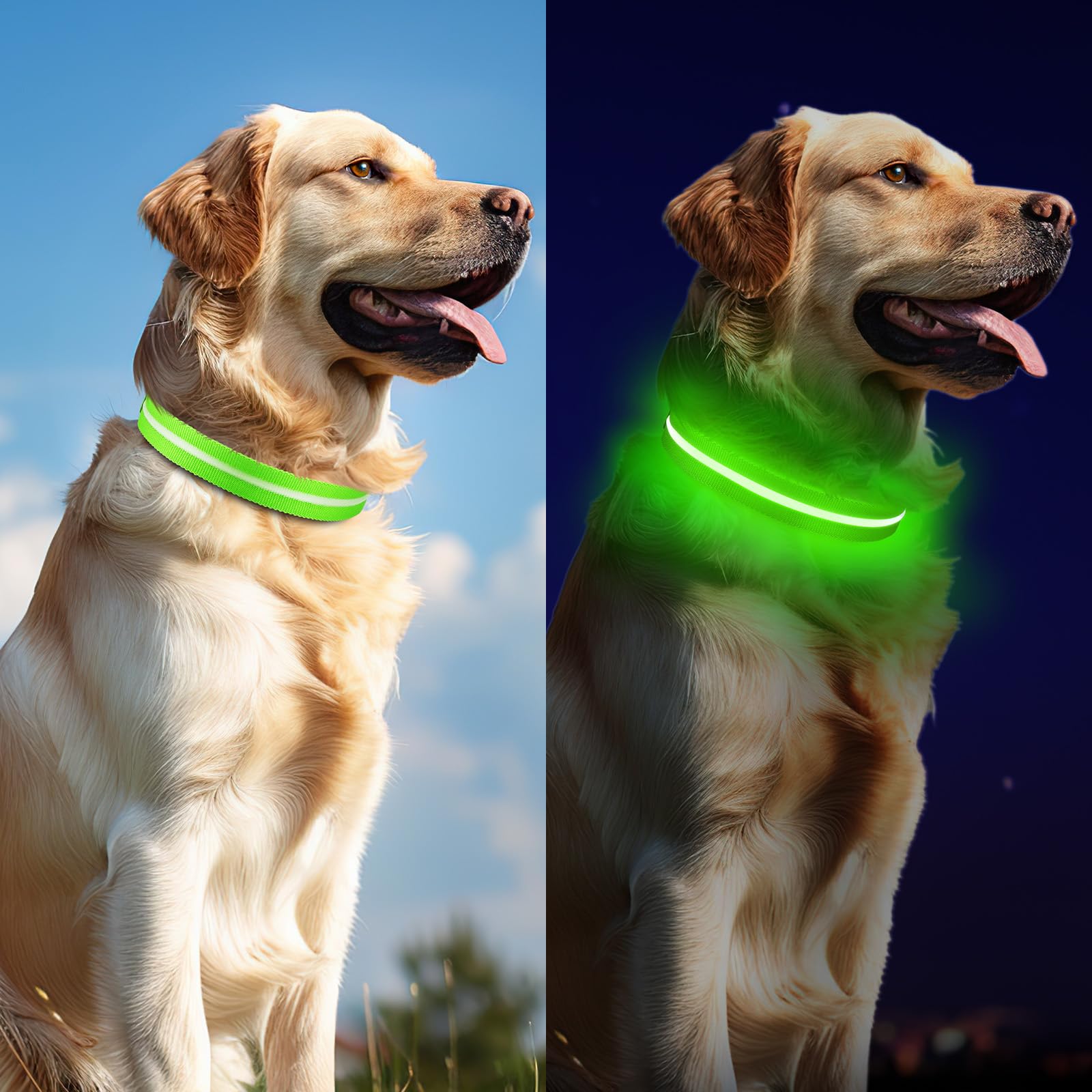 Led Dog Collar For Night Walking,Rechargeable Light Up Dog Collar Led Color,Glow In The Dark Dog Collars Waterproof For Small Me