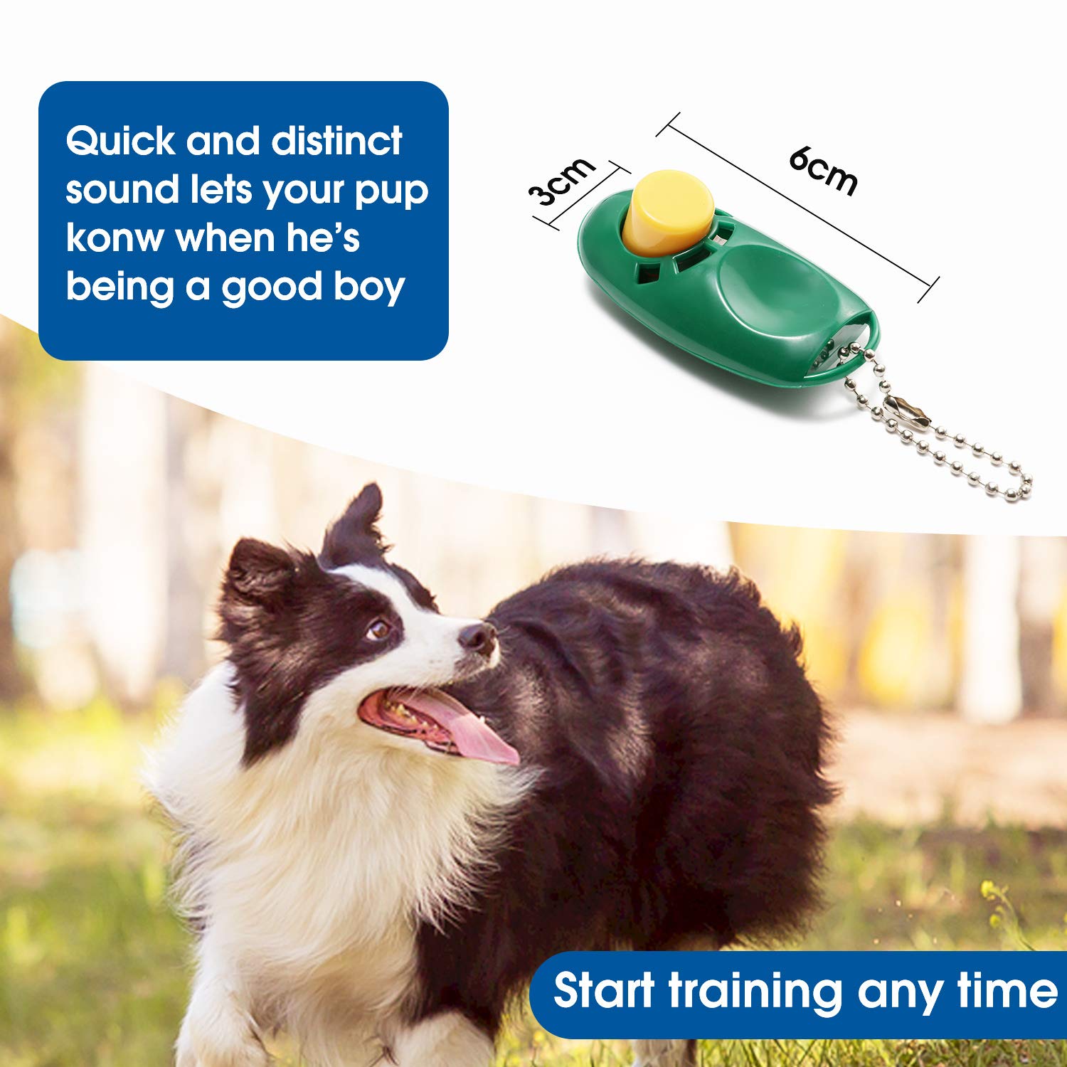 Baapet 15/20/30/50/100 Ft Long Dog Training Leash With Clickers For Small, Medium And Large Dogs Or Cats (30 Feet, Darkgreen)