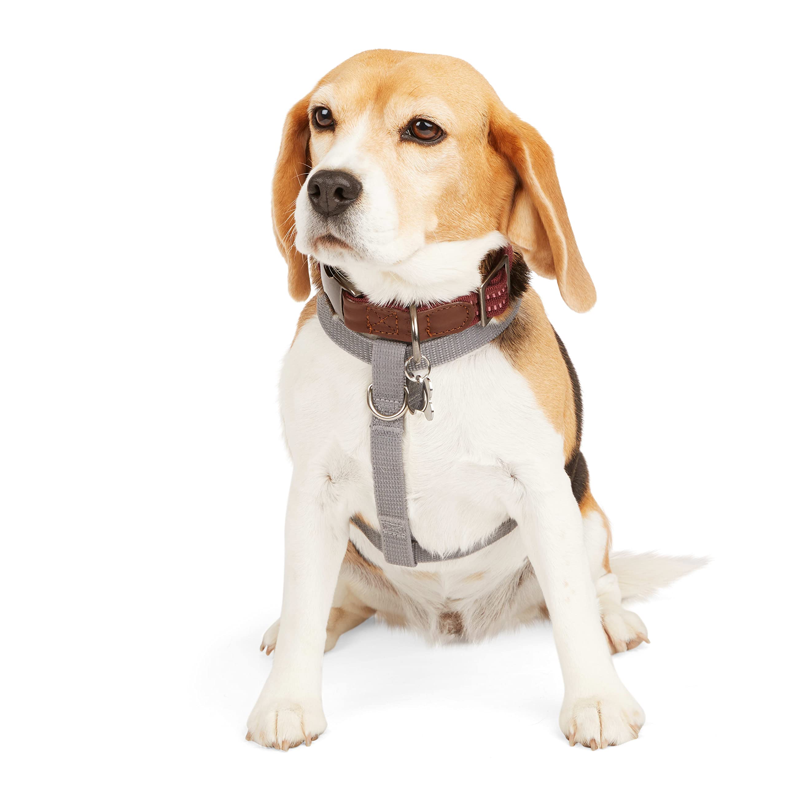 Reddy Grey Reflective Dog Harness Medium