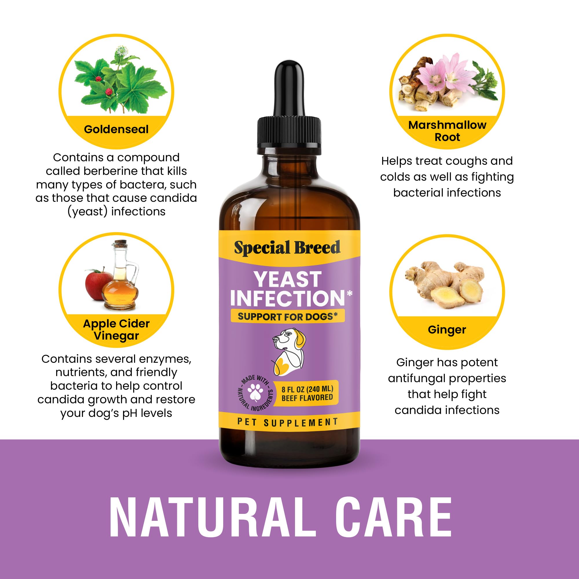 Special Breed Natural Yeast Infection Relief for Dogs, 8oz Liquid Drops - Supports Allergy & Immune Health, Reduces Itching & Irritation