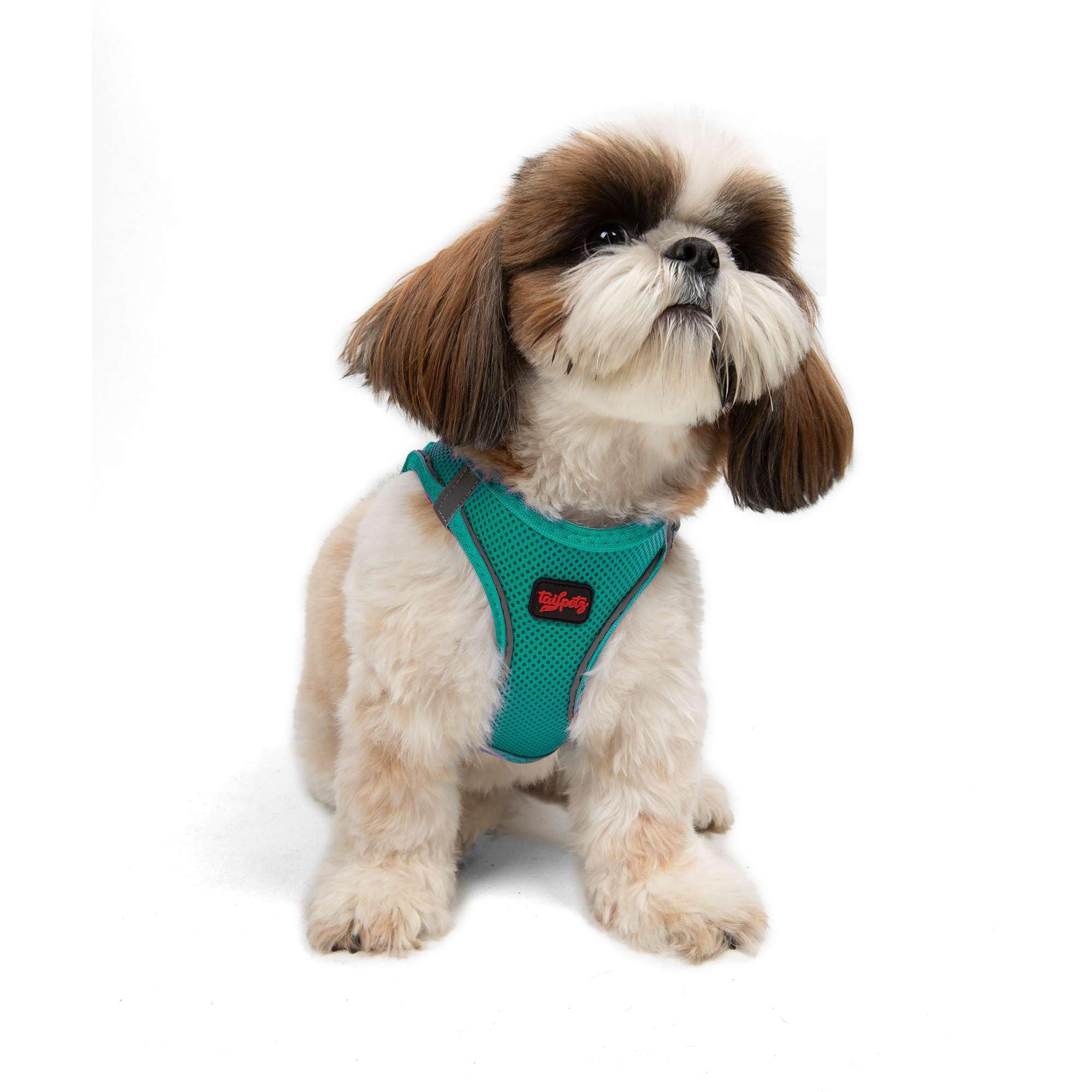 Tailpetz Dark Green Dog Harness Small Sized Dogs, Adjustable Step in No Pull Harness for Small Dogs, Reflective Puppy Harness fo