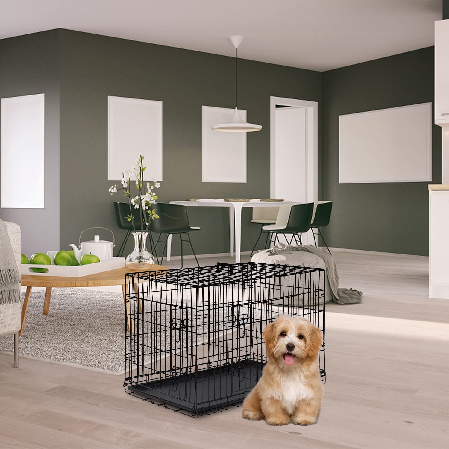 FDW Dog Crate for Small Dogs, 24" Folding Metal Wire Cage, Double Door, Black, with Divider Panel and Leak-Proof Tray