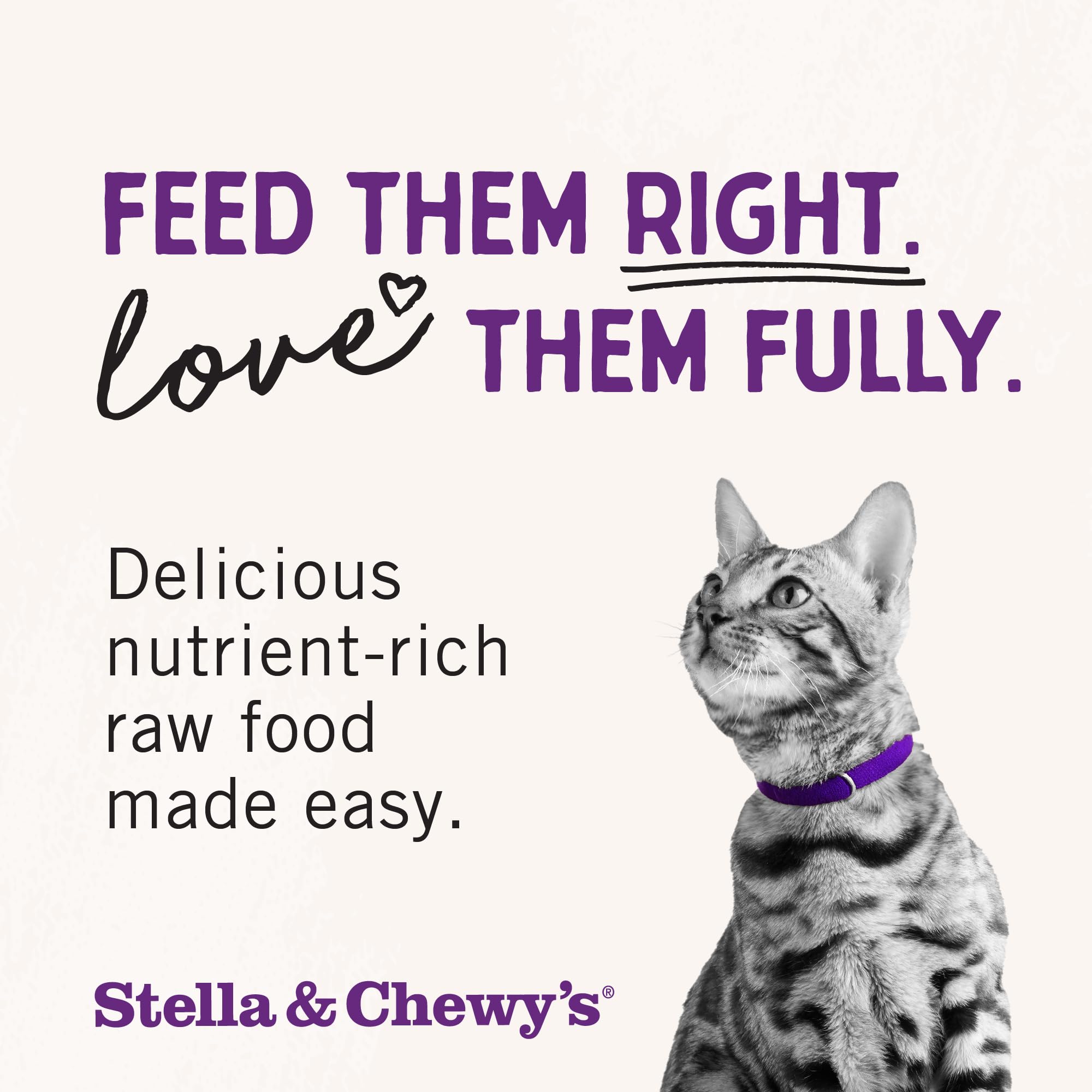 Stella & Chewys Freeze-Dried Raw Cat Dinner Morsels - Grain Free, Protein Rich Cat & Kitten Food - Chick Chick Chicken Recipe -