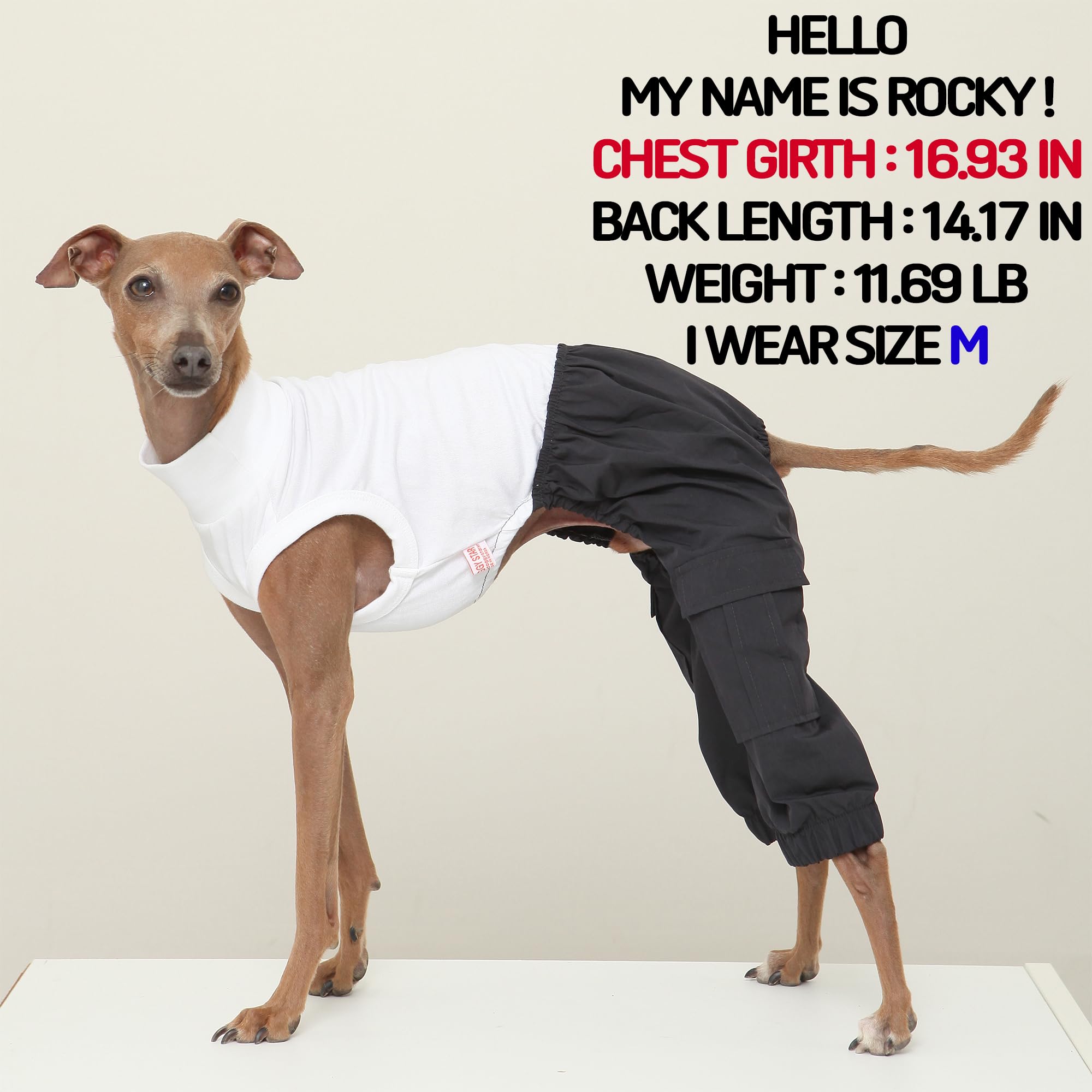D Doggy Star Italian Greyhound Clothes Cargo Pants Onesie Outfit Whippet For Dog Coat (M,Navy Cargo)