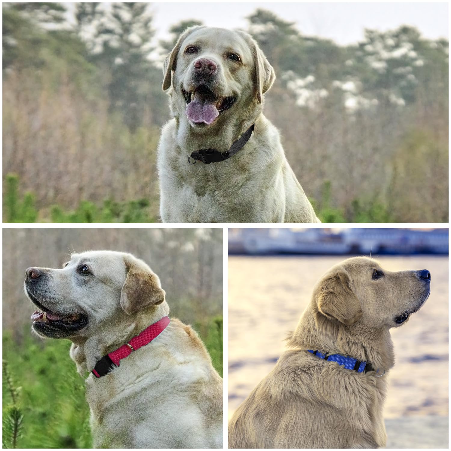 Petjoy Shock Collar Replacement Collar Strap, Bark Collar Replacement Strap 3-Packs, 3/4 Inch Dog Collar With Quick Release Buck