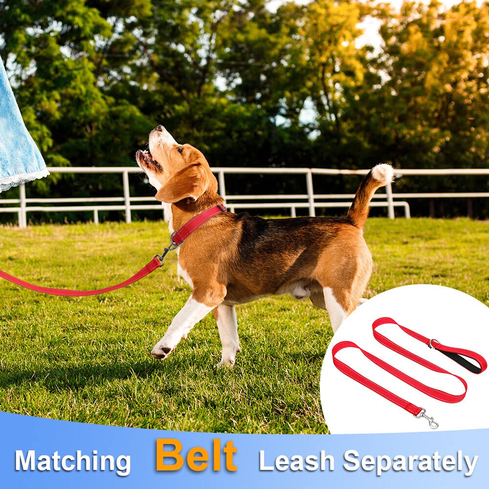 Taglory Reflective Adjustable Dog Collars For Puppy Small Medium Large Dogs, Thin Nylon Webbing And Quick Release Plastic Buckle(Red Medium)