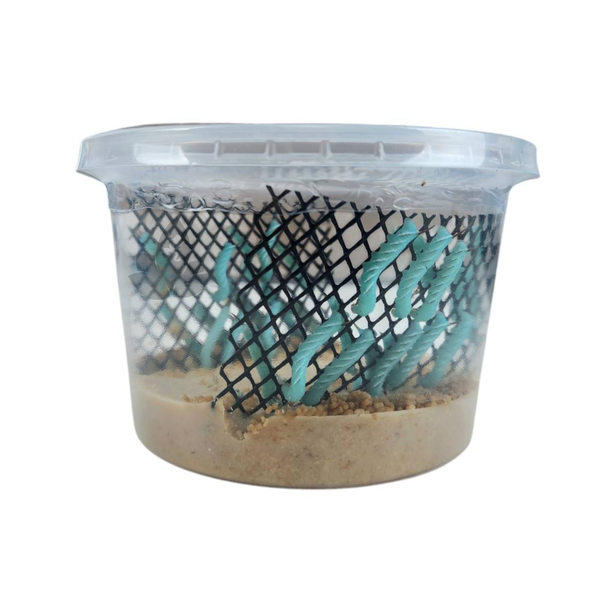 Joshs Frogs Hornworms Habitat Cup (25 Count Cup)