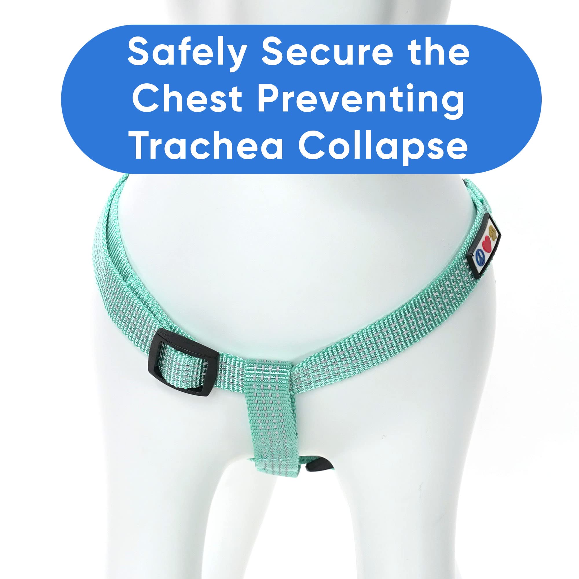 Pawtitas Dog Harness For Large Dogs Teal Dog Harness Step In From A Senior Dog To A Puppy Harness Adjustable Reflective Dog Harn