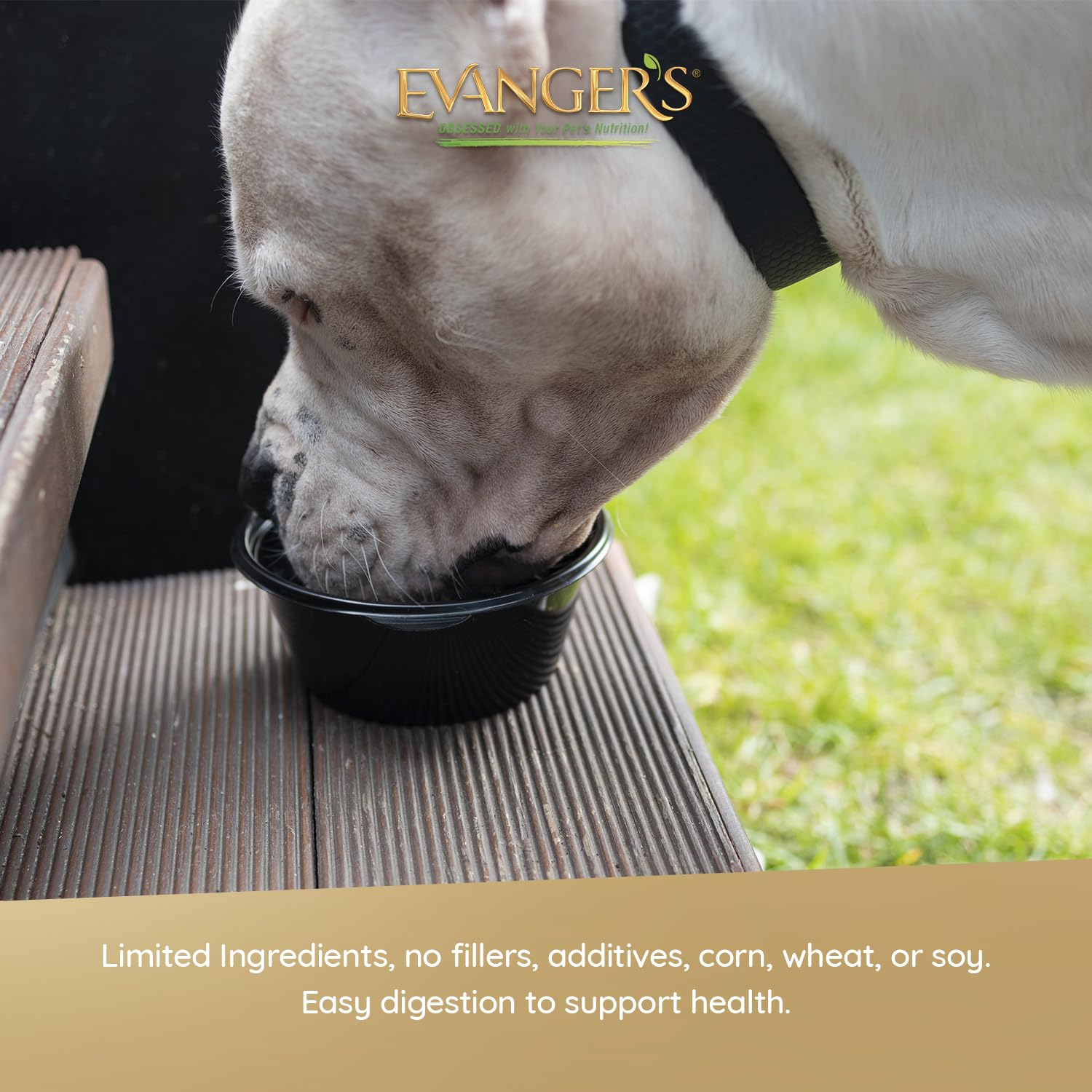 Evangers Organics Chicken & Turkey Dinner for Dogs - 12, 12.5 oz Cans