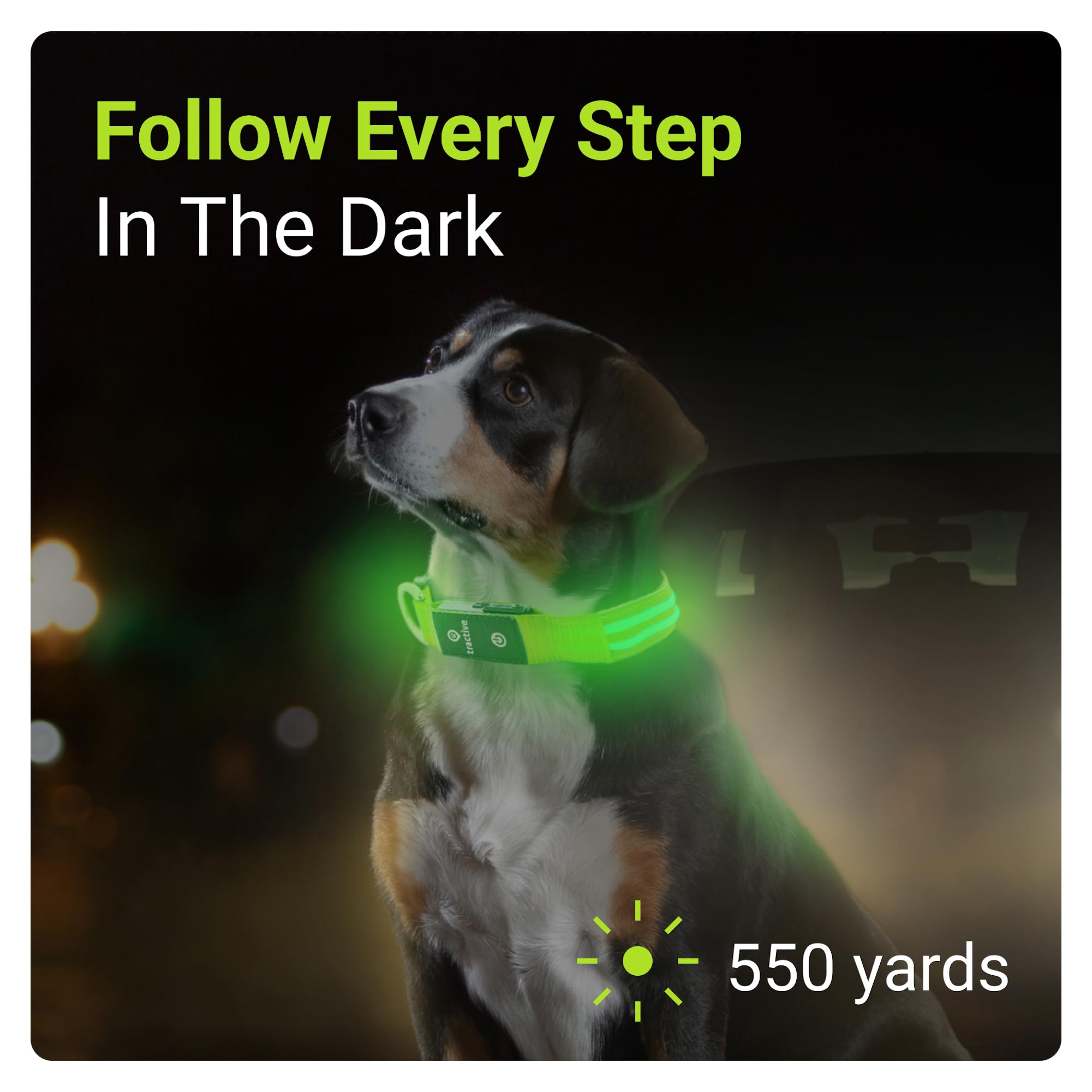 Tractive Led Light Up Dog Collar Usb Rechargeable Waterproof (Green)