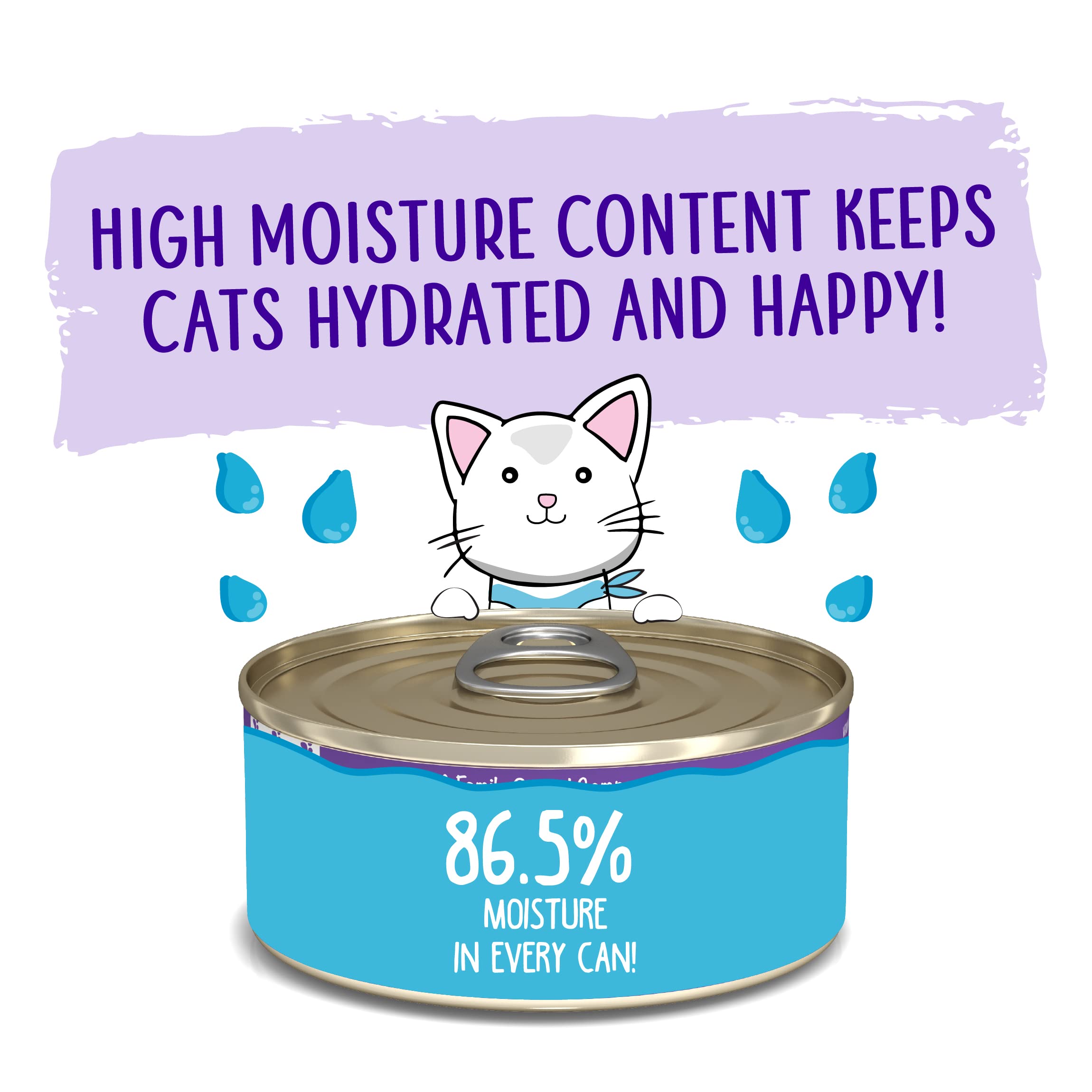 Weruva Wet Cat Food, Meal or No Deal with Chicken and Beef Pate, 5.5oz Can, Pack of 8