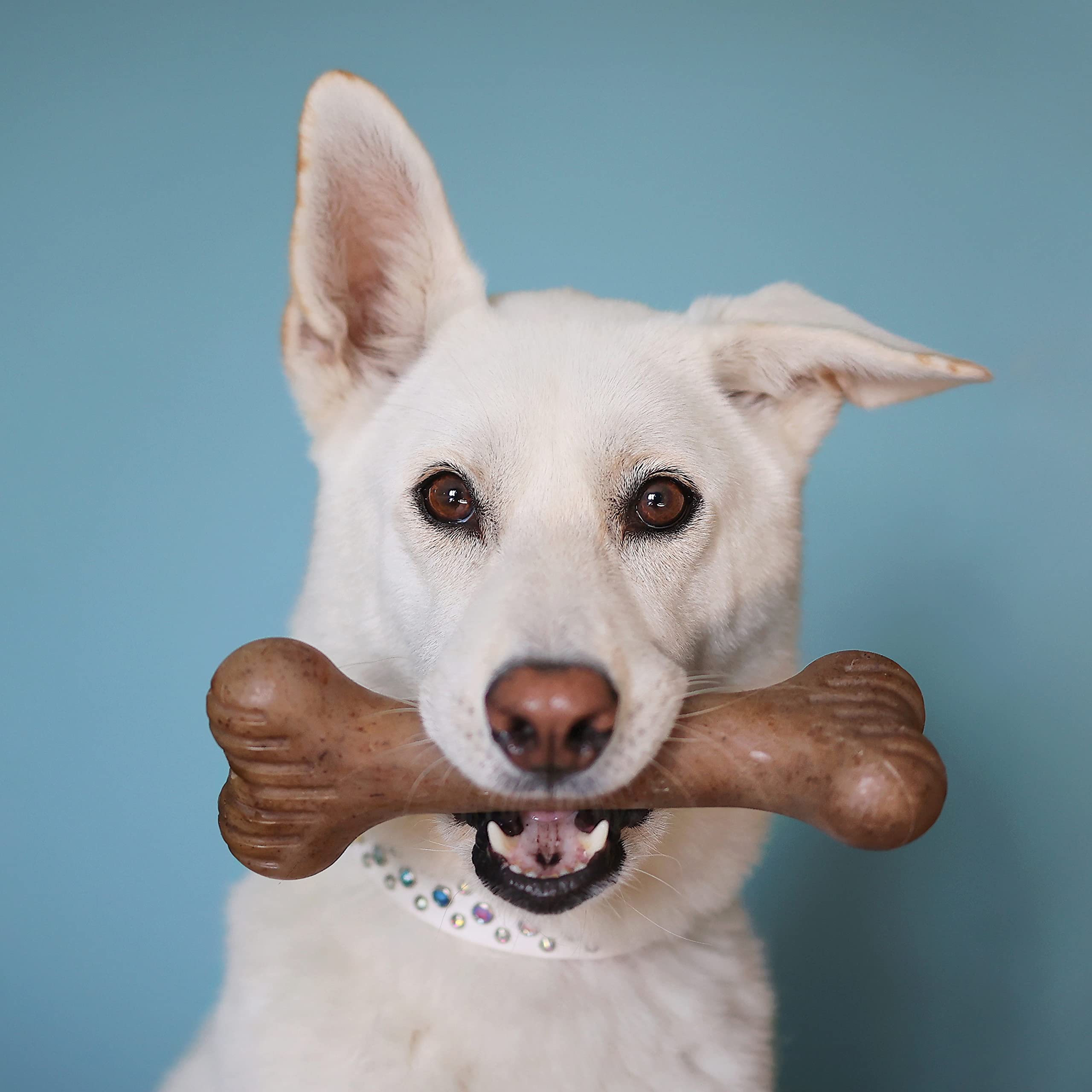 Lumabone Bulkster Durable Chew Toy For Aggressive Chewers, Real Beef, Made In Usa, Medium