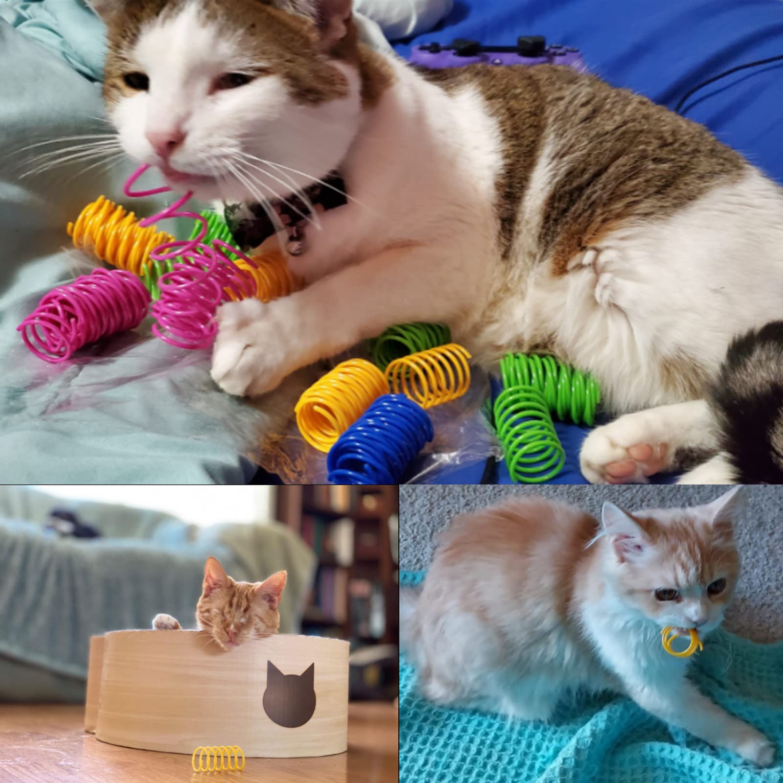 Ismarten Cat Spring Toys 60 Pack, Colorful Springs Cat Toys Interactive Cat Toy Plastic Coil Spiral Springs Creative Cat Toy To Kill Time And Keep Fit Heavy Plastic Spring For Indoor Cats Kitten Toys