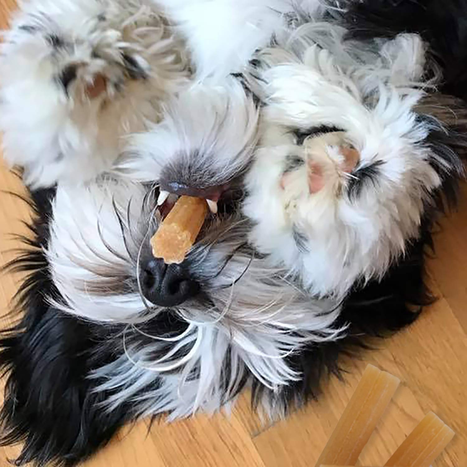 yaky CHURRO Himalaya Cheese Treats  Lactose Free  Gluten Free  Grain Free  USA MADE  for All Breeds  4 CHURROs per Pouch  Origin